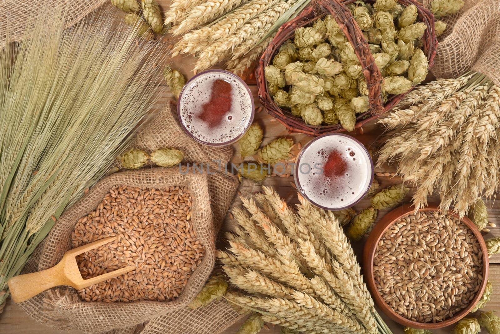 two beer glasses with wheat,barley,hops and malt