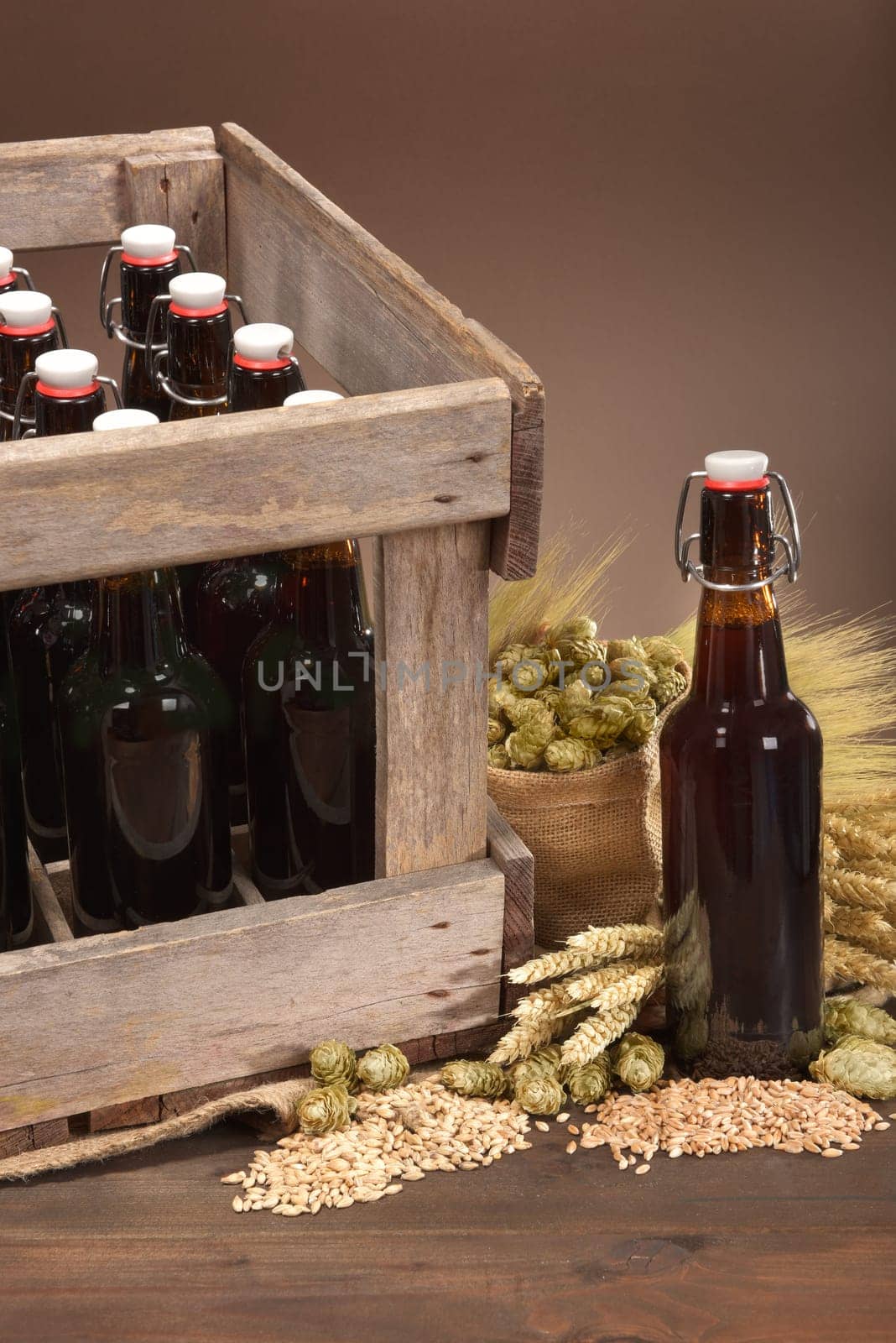 Beer box and beer bottle with wheat,barley,hops and malt