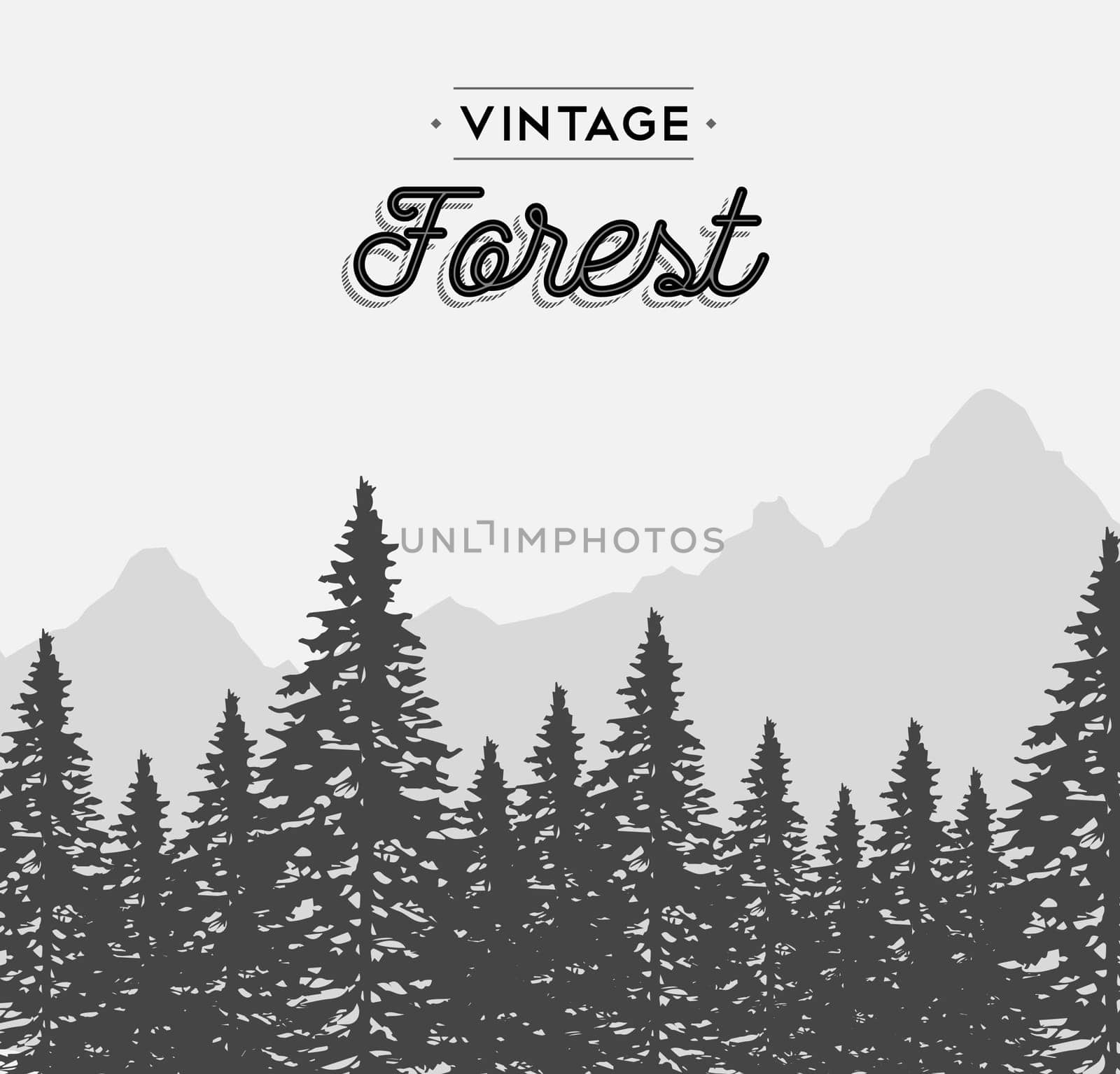 Vintage forest concept illustration with retro text label and winter tree landscape. EPS10 vector.