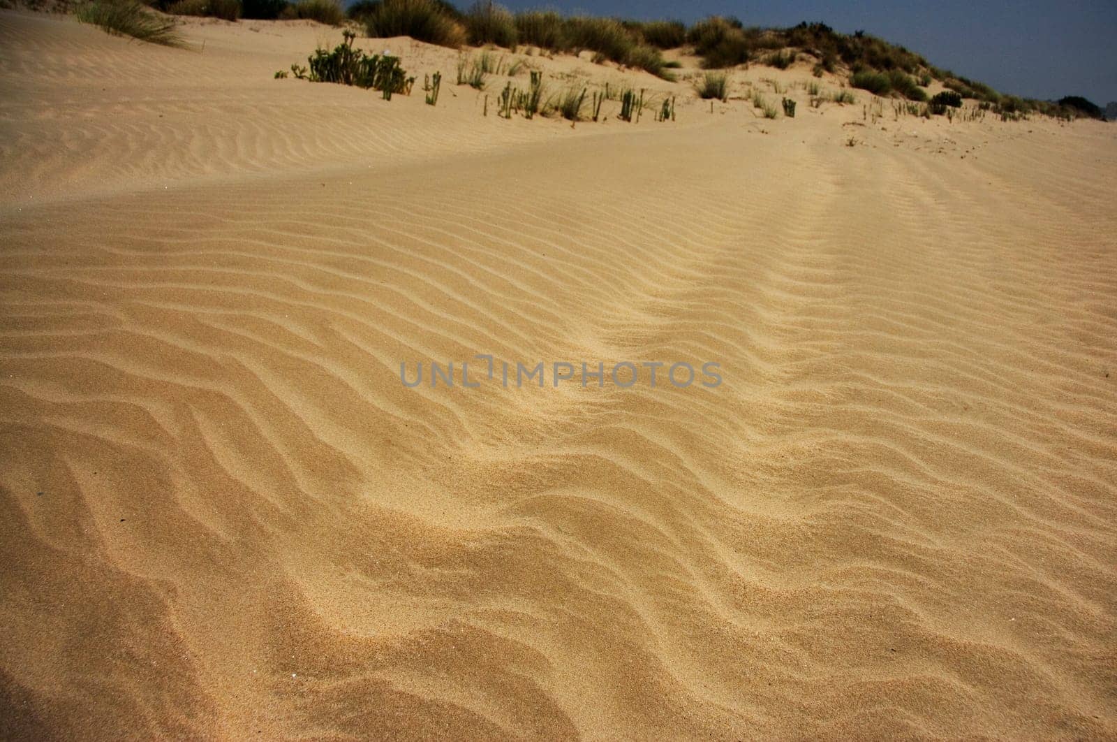 Close-up of sand ripples produced on a beach in Doñana National Park, near Sanlucar de Barrameda, Spain