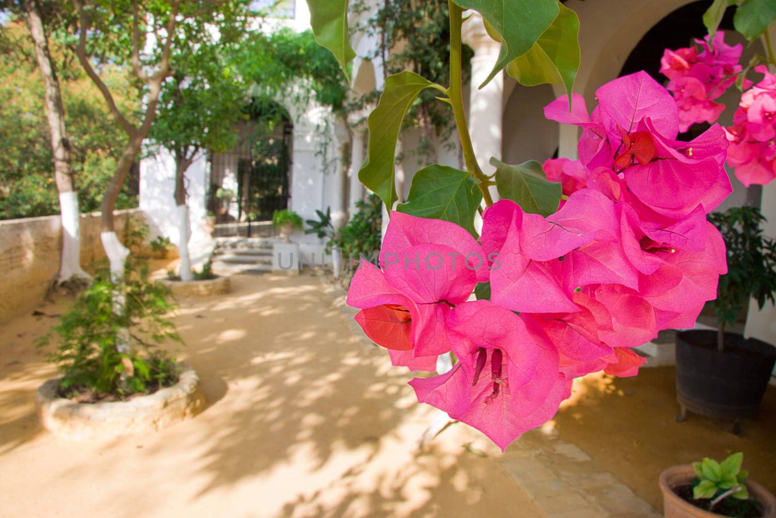 Indoor view from the porch of a courtyard of the Palace of Medina Sidonia in Sanlucar de Barrameda.