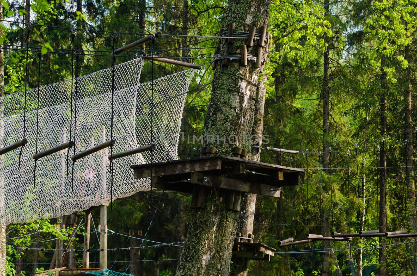 Dangerous ropeway with tether in rope park, trees with green leaves