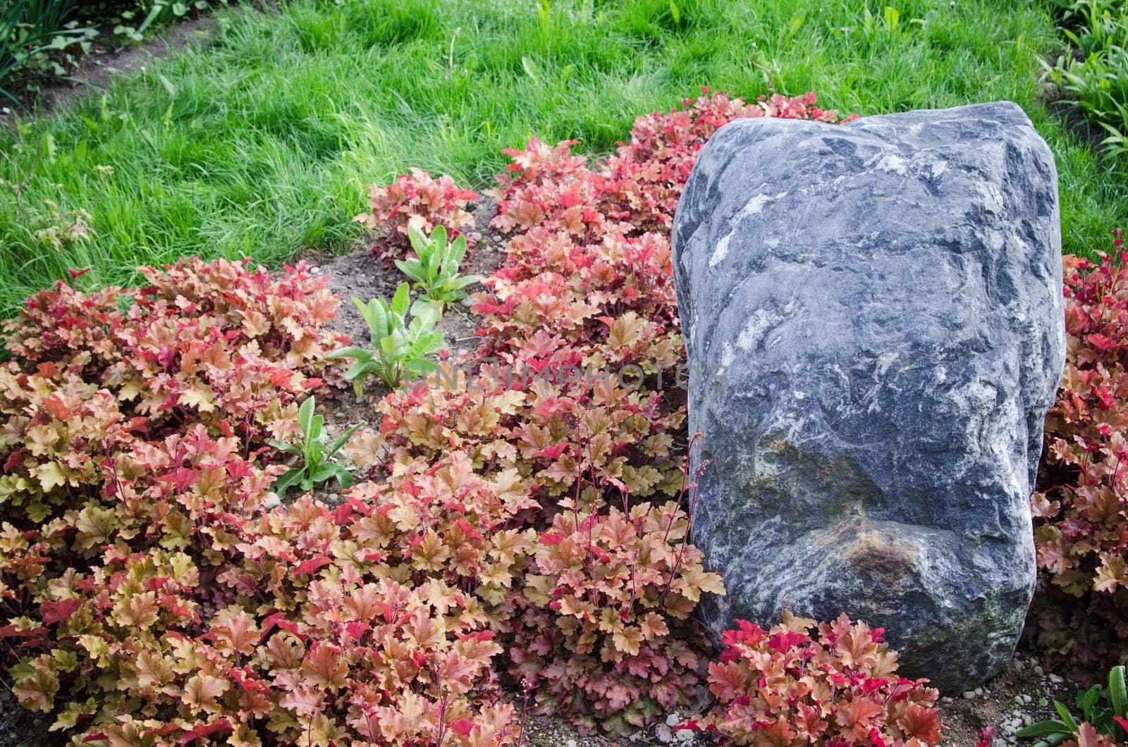 Decorative flower bed in a garden with rocks and plants, close-up