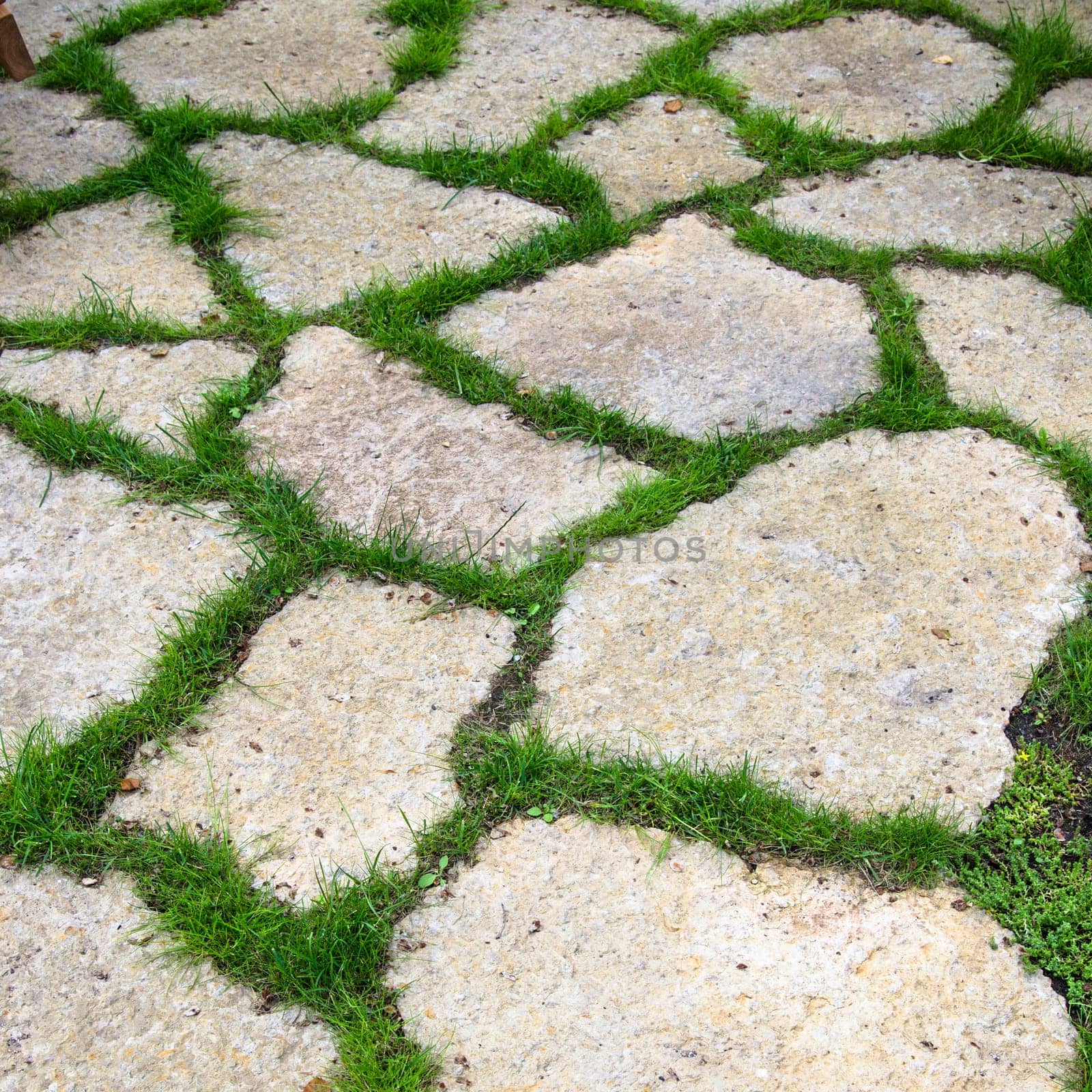Track of the limestone slabs in the garden