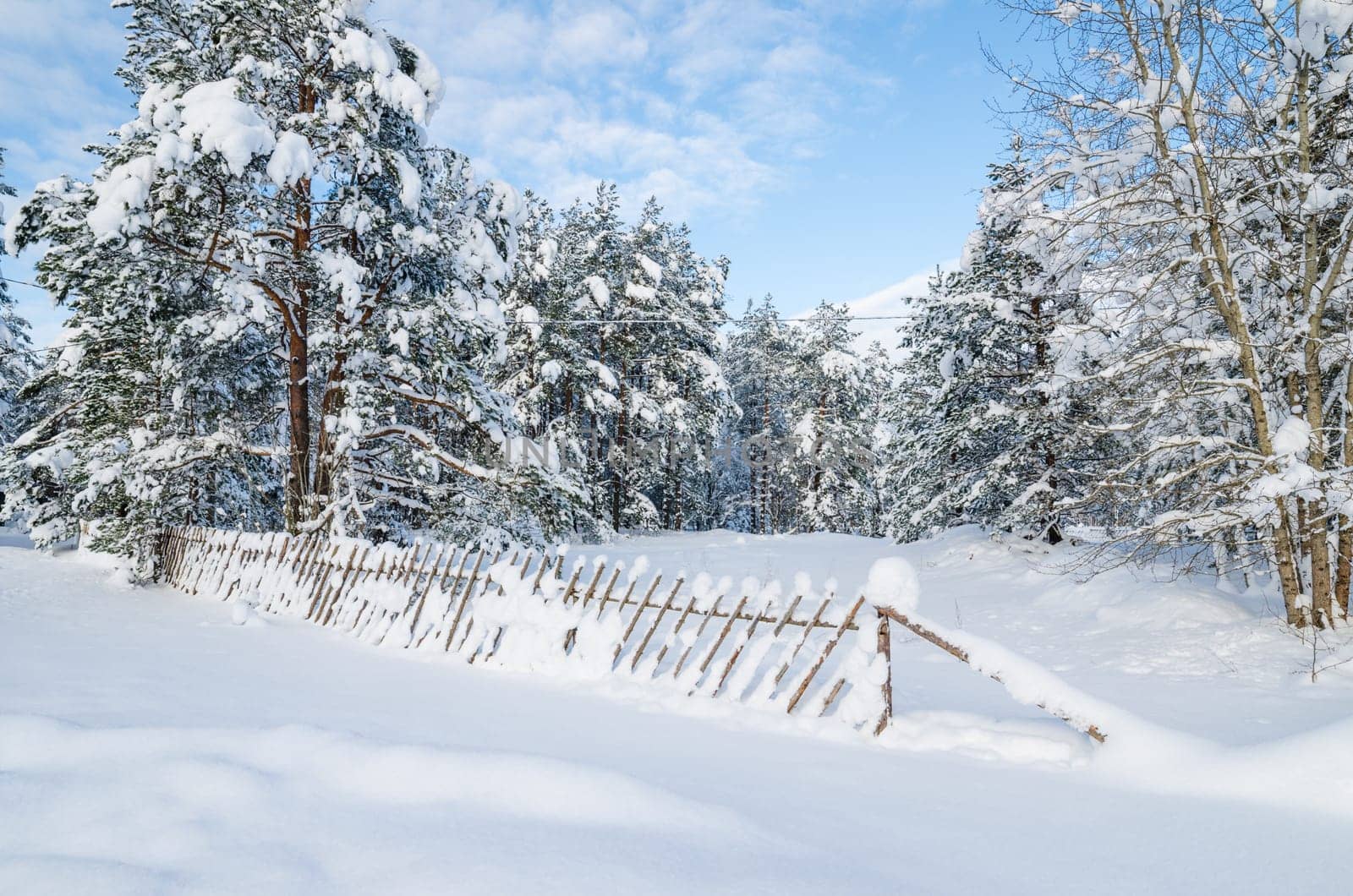 Snow-covered landscape in the countryside. Viitna, Estonia