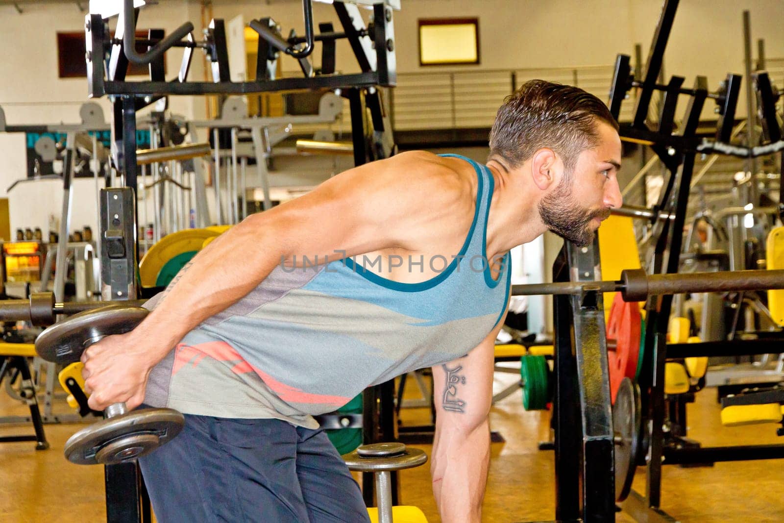 Train triceps