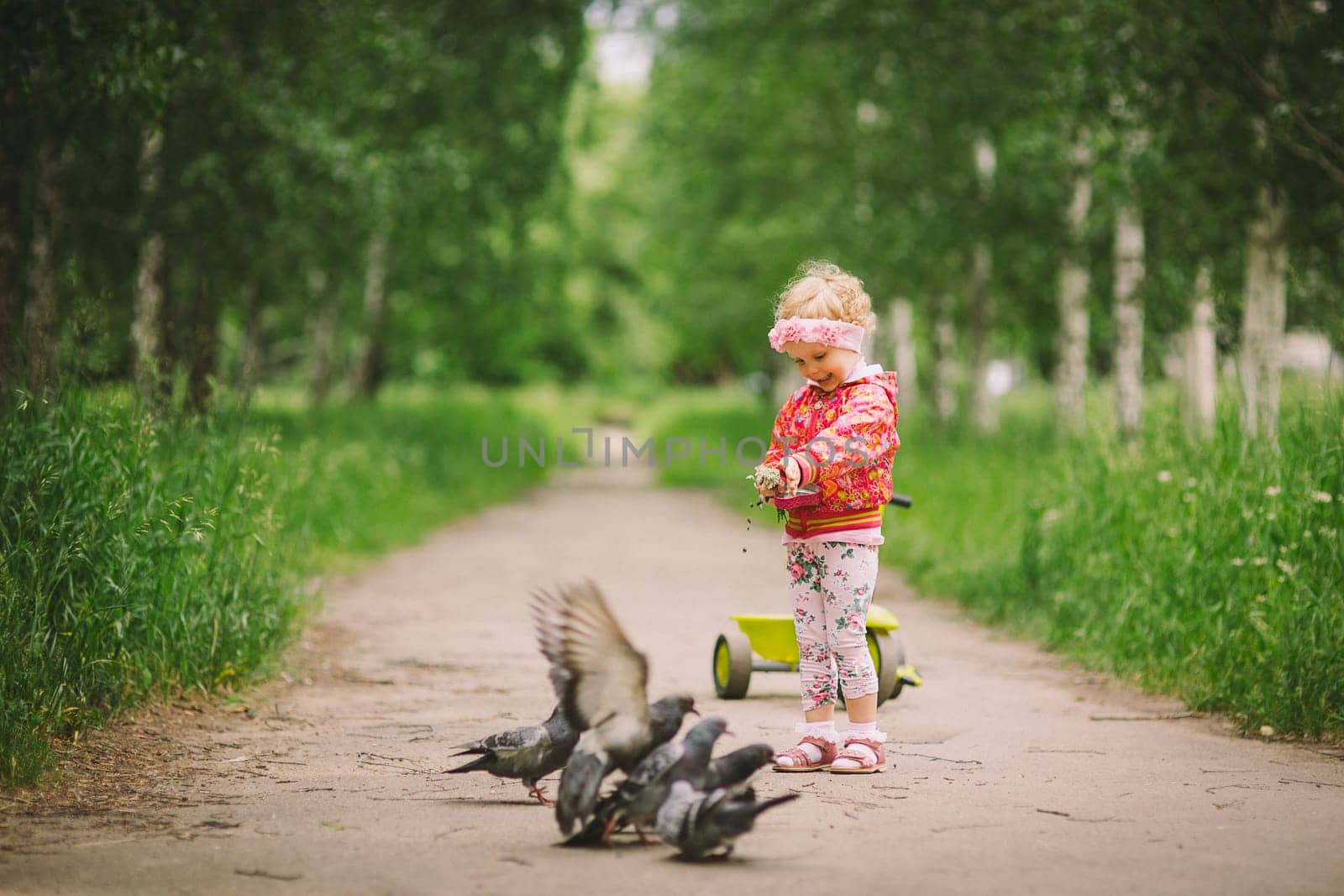 the little girl feeds pigeons there is a green bicycle nearby