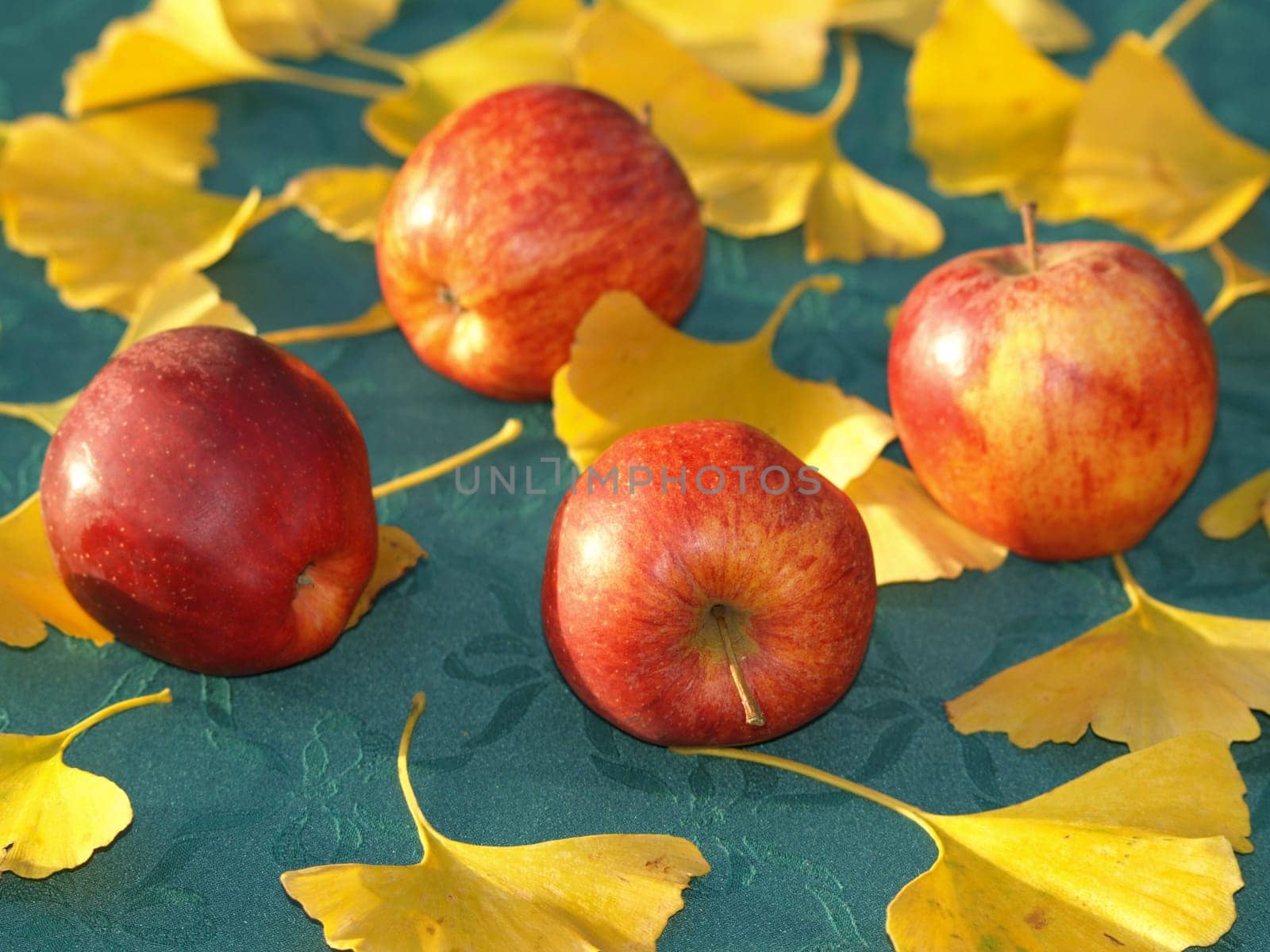 Still Life - Boskoop Apples