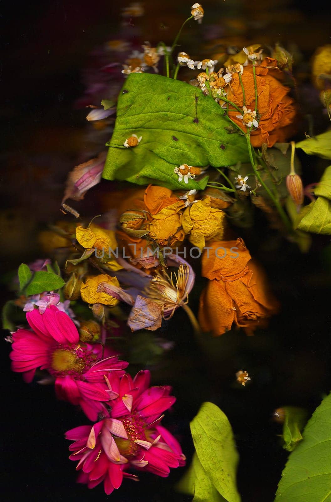 Old flowers
