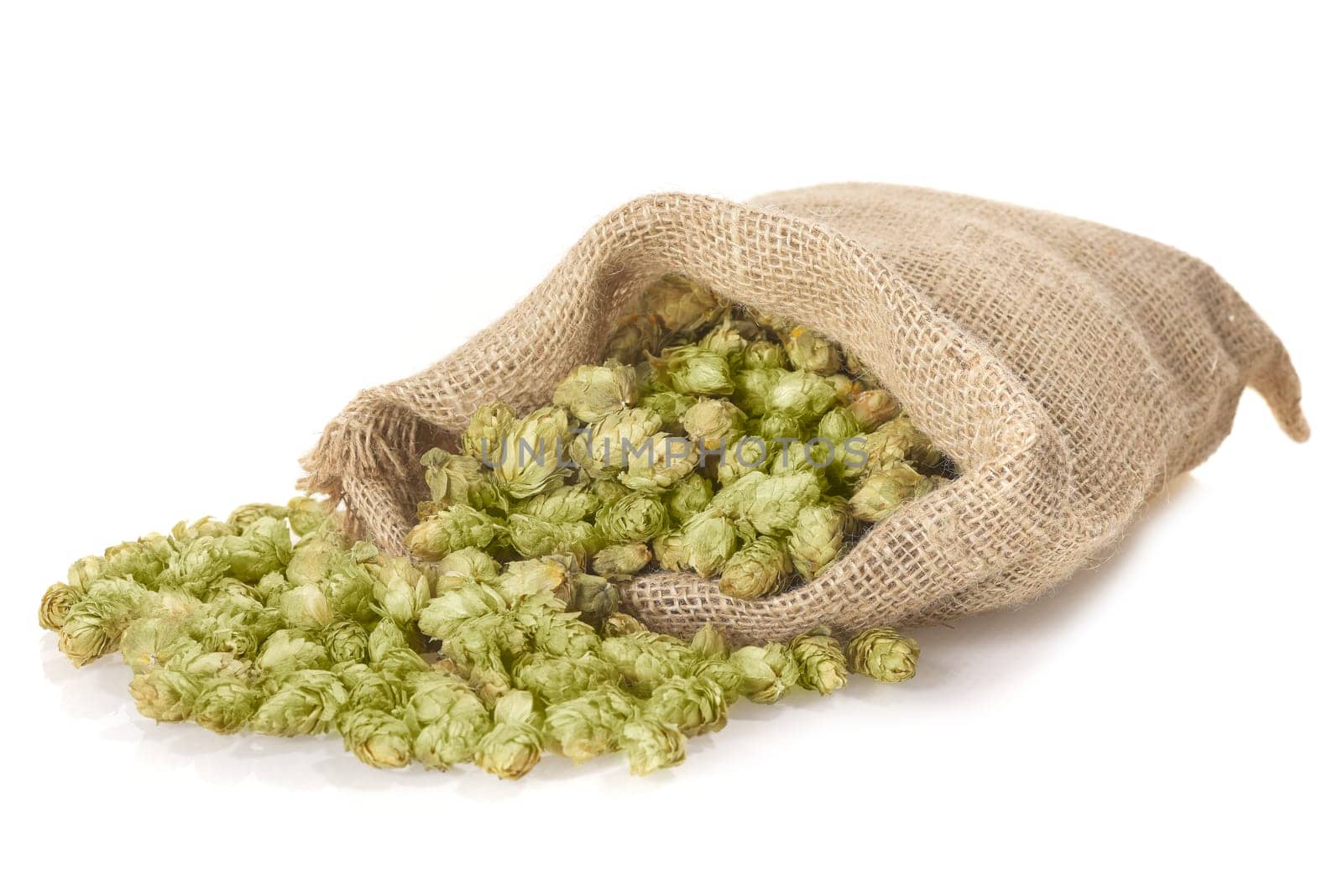 many dried hop cones for beer and brewery in jutesack