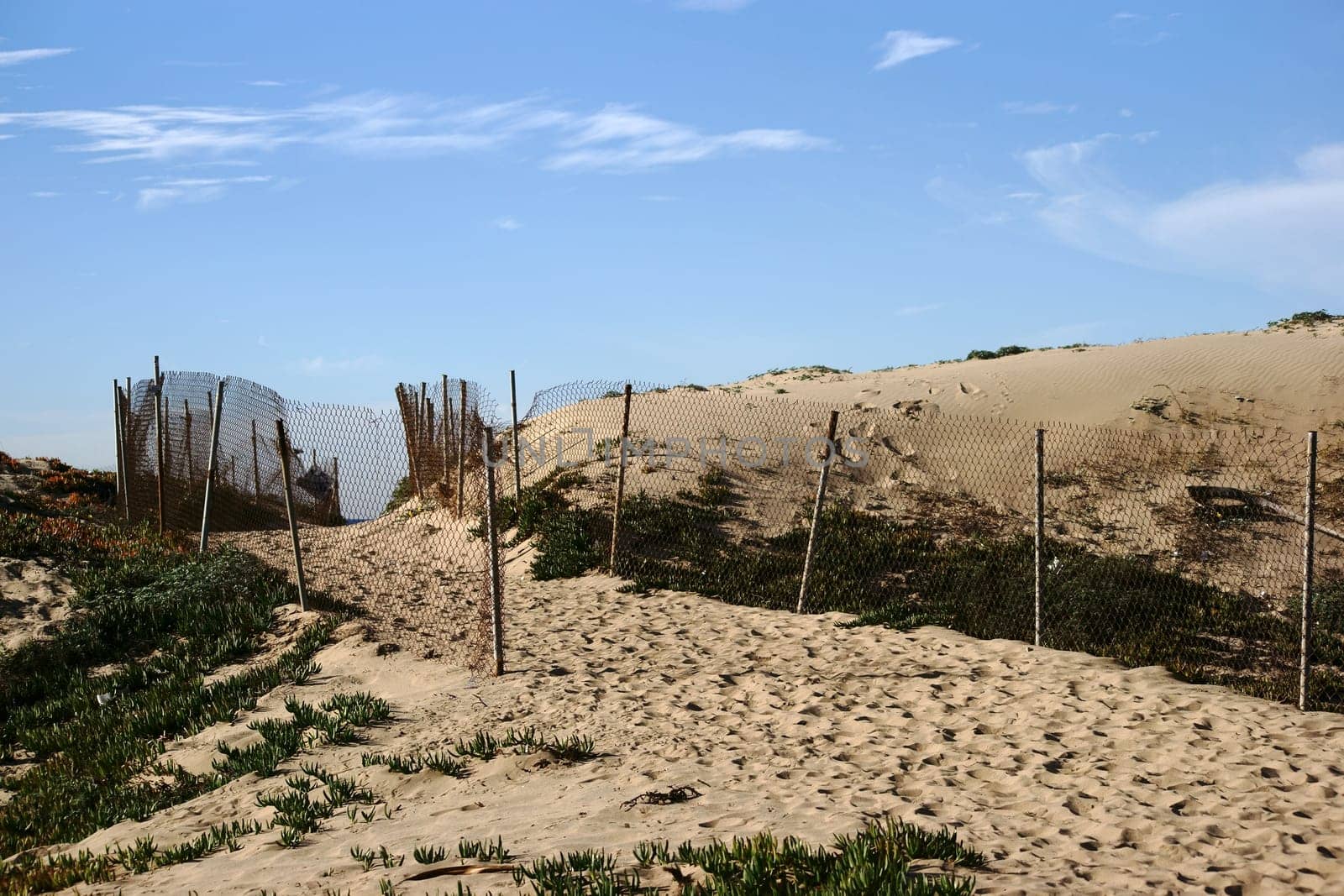 A limited path with trampling tracks leads over dunes to the beach.