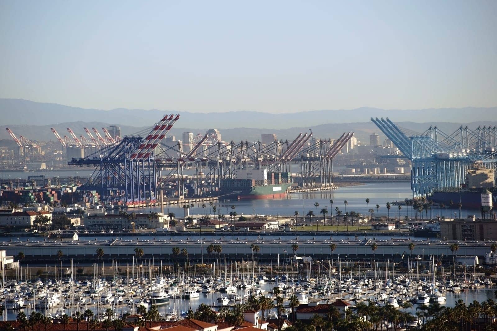 A residential area and sailboat port in front of the industrial port of Los Angeles with cranes,power poles and industrial buildings.