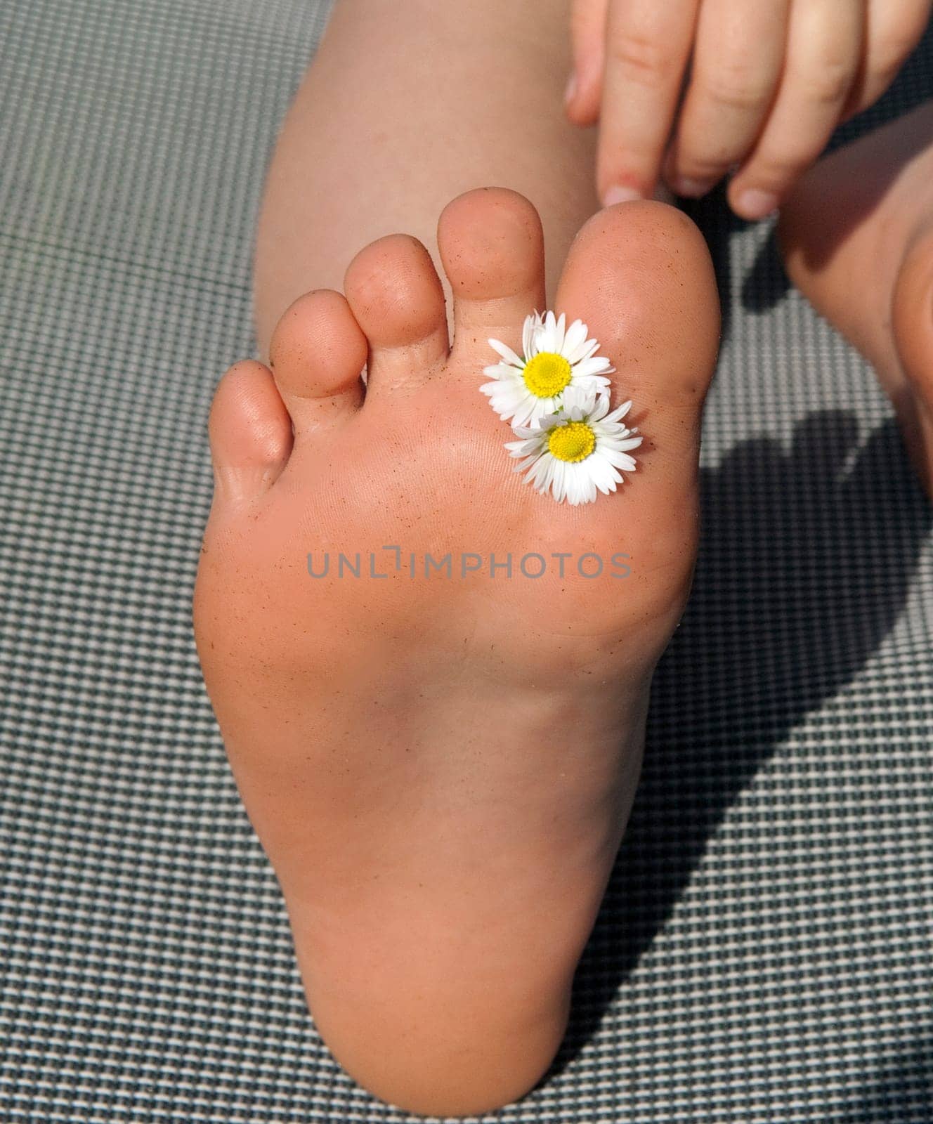 Maedchen, Fuss, Blume, Gaensebluemchen