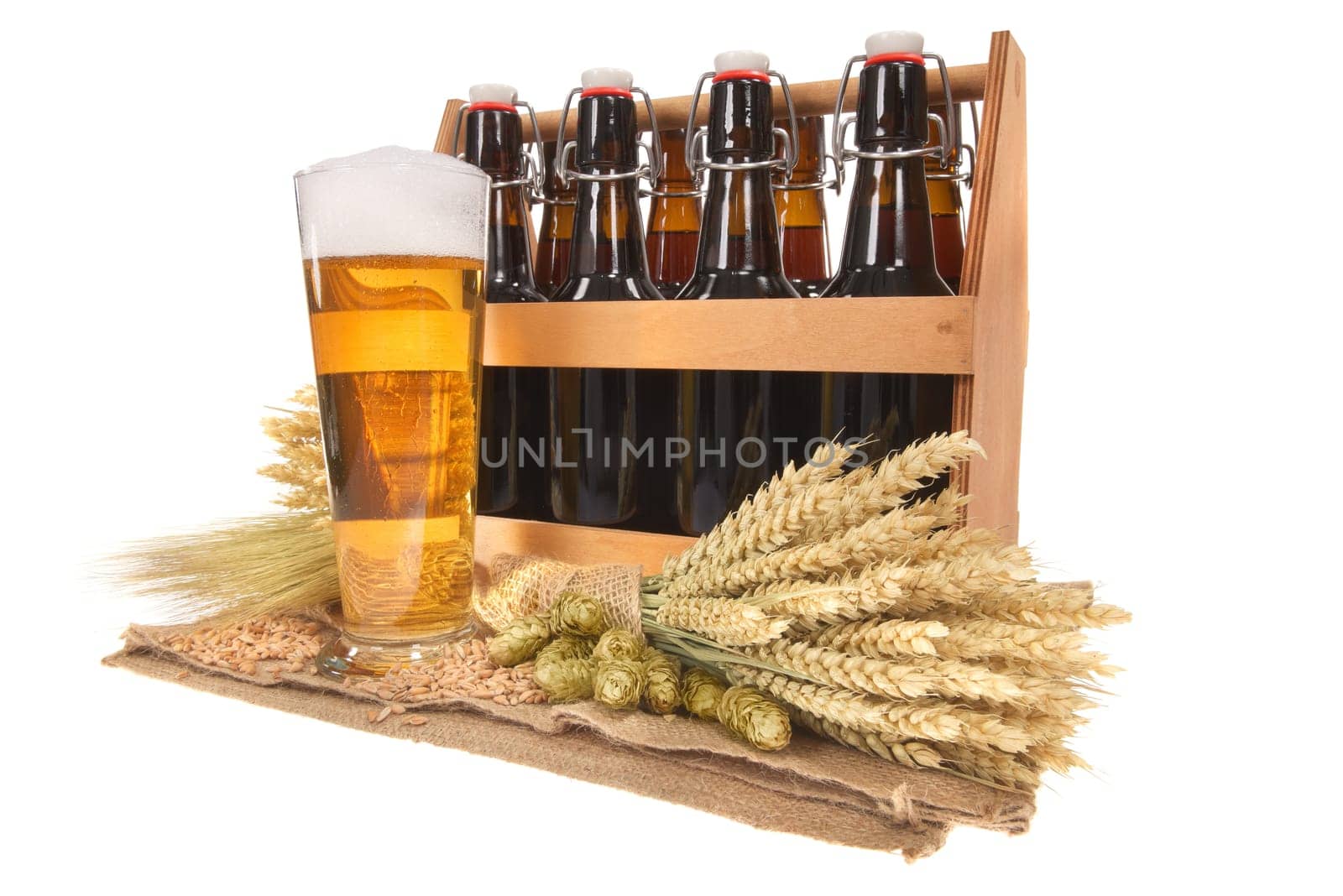 Beer carriers and beer glass with wheat,barley,hops and malt Insulated On White