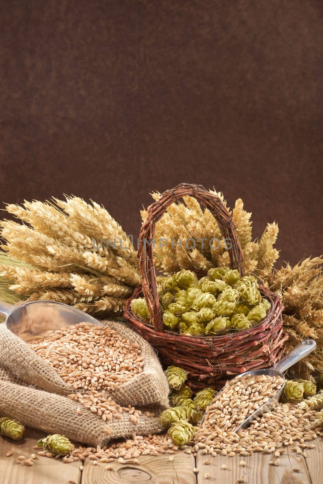 Beer ingredients - wheat,barley,hops and malt