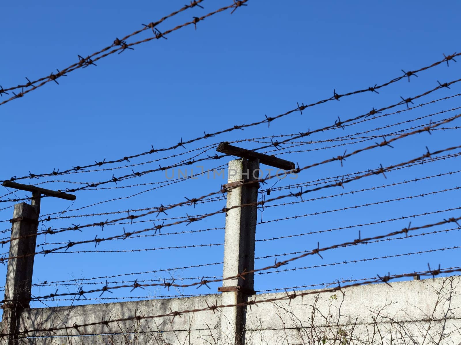 Abstract image of the barbed wire - No Admittance