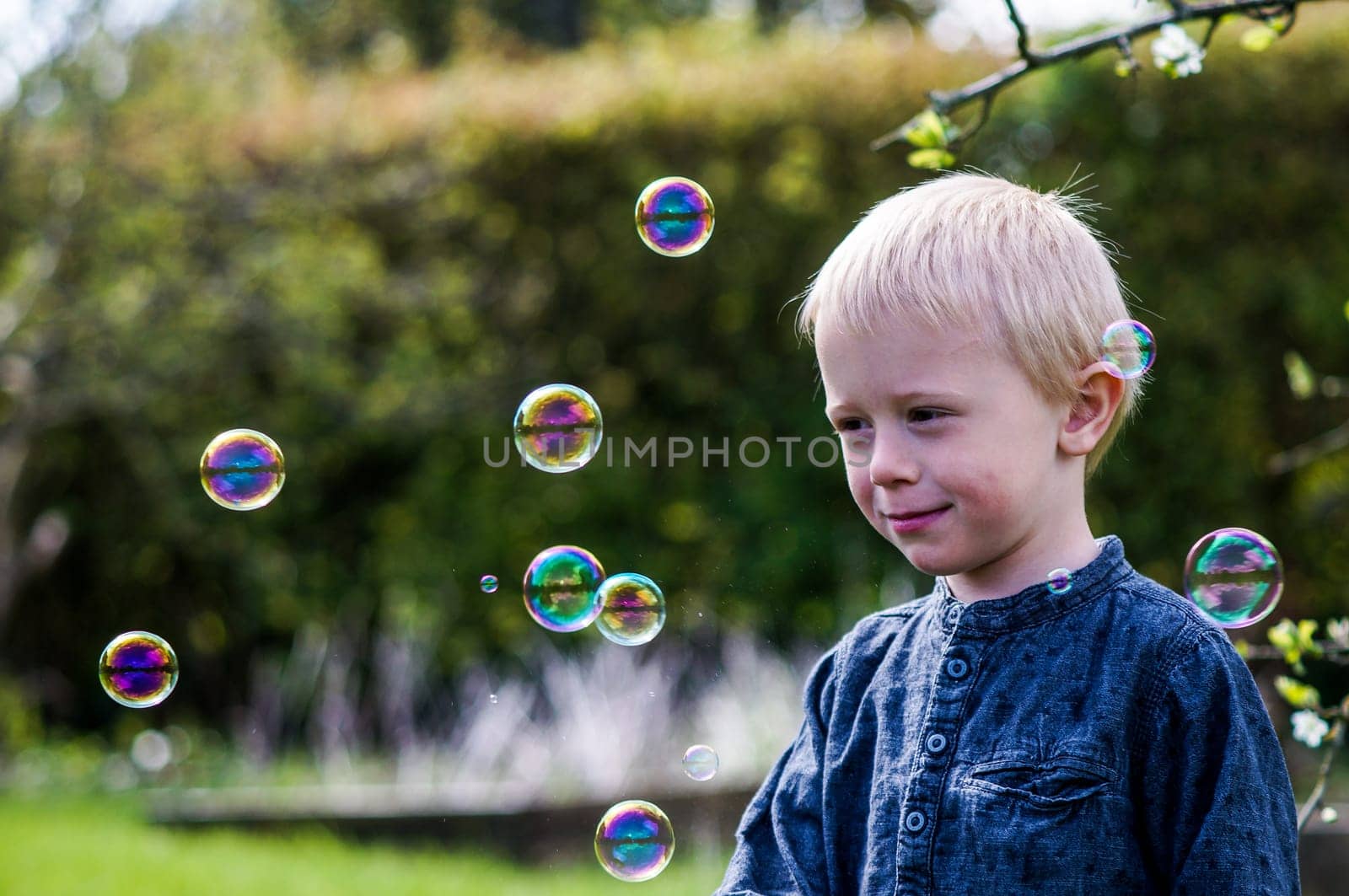 A Little boy blows soap bubbles in the garden on a summer day. He wears a blue shirt and is happy