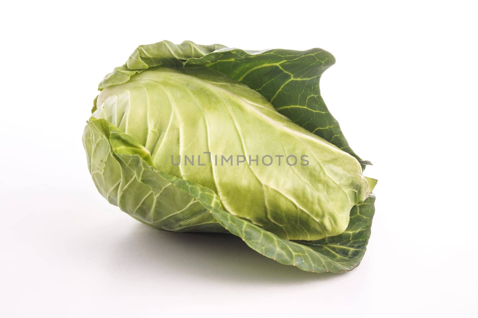 Healthy Fresh Spring Cabbage isolated on White