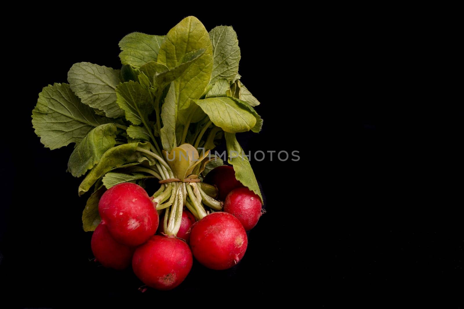 Bunch of Raddish isolated on black background