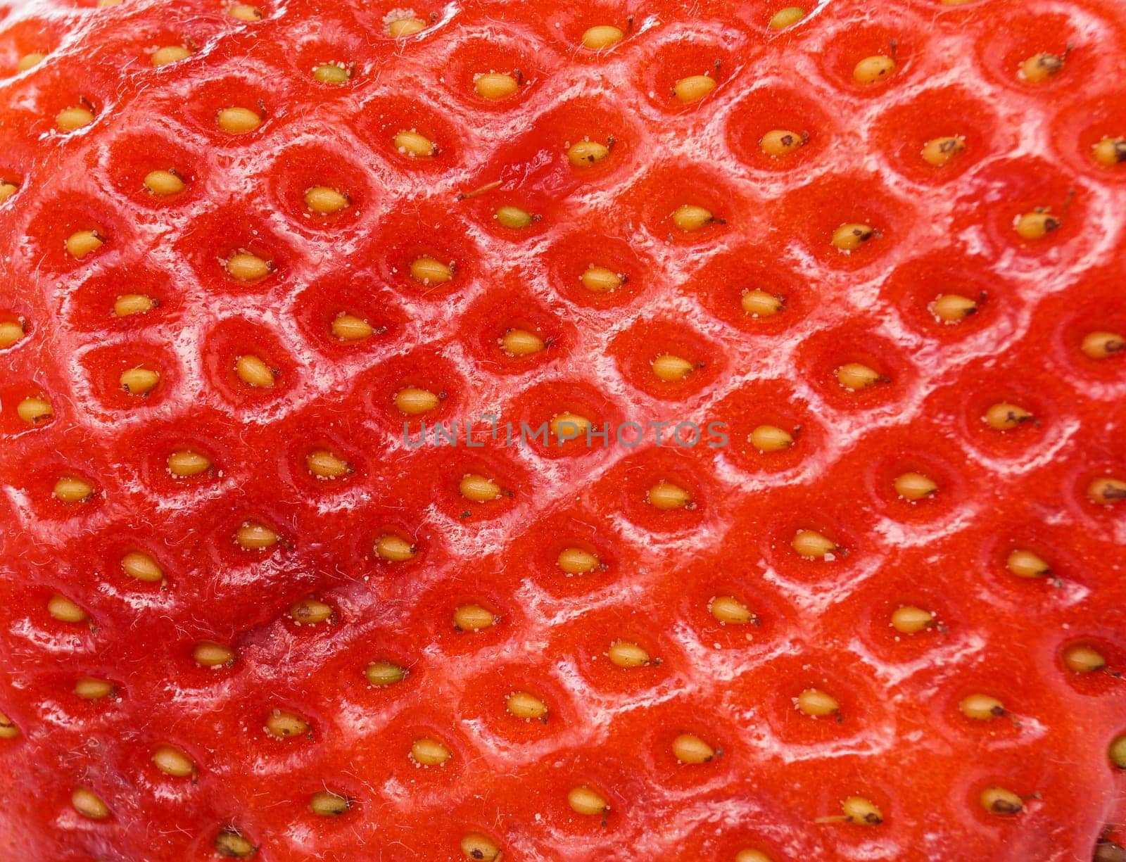 Super red healthy Organic Strawberry close up
