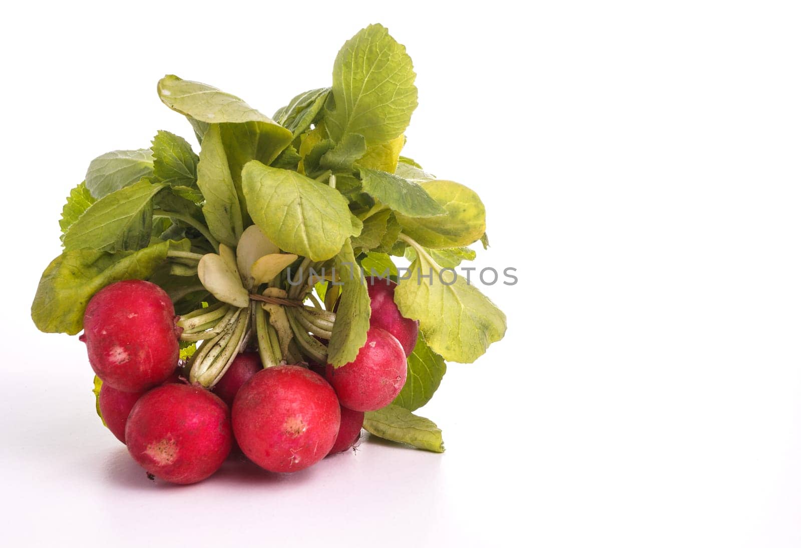 Bunch of Radish isolated on white background