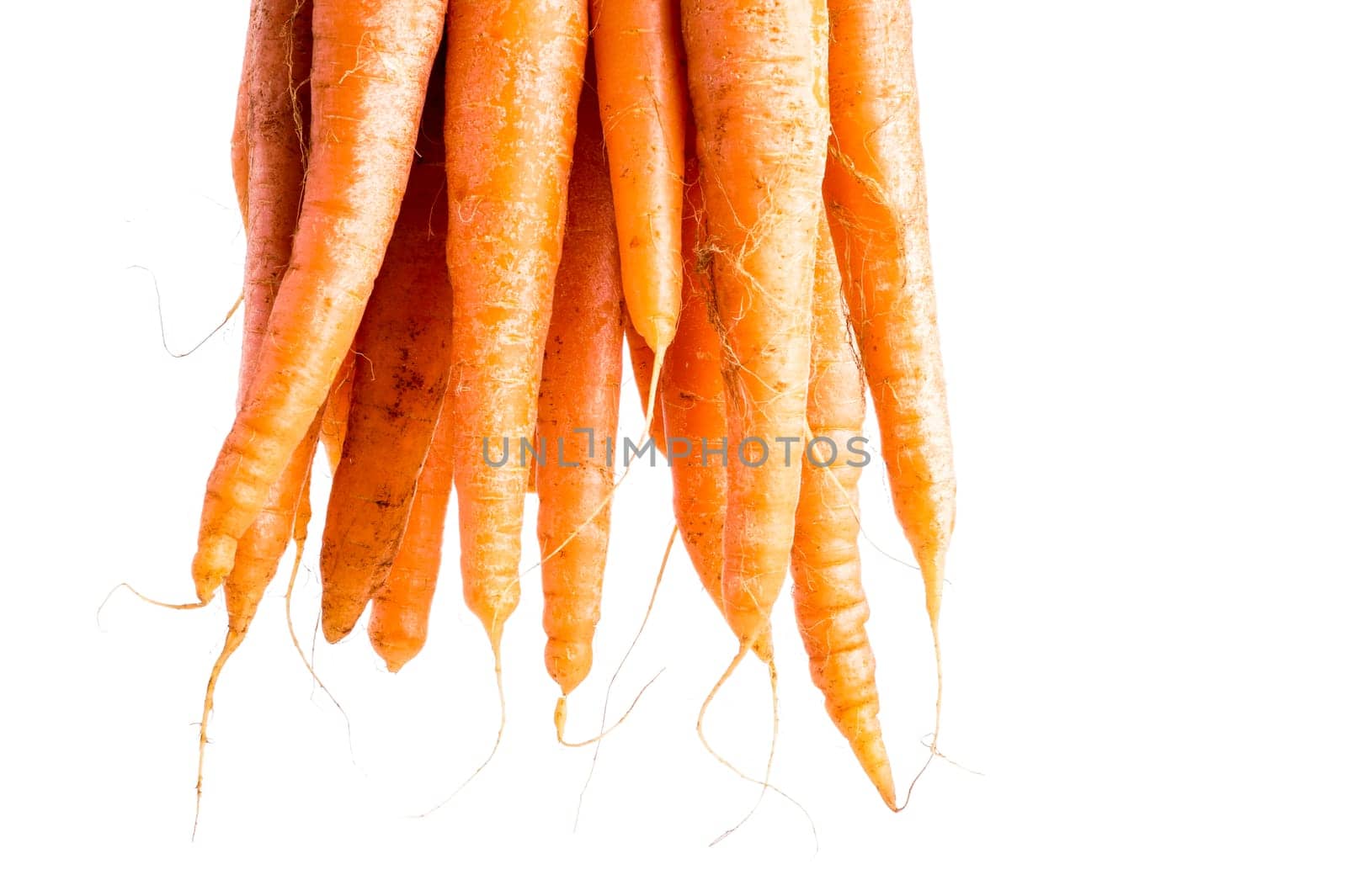 Bunch of Organic Carrots with Leaves. Isolated on White