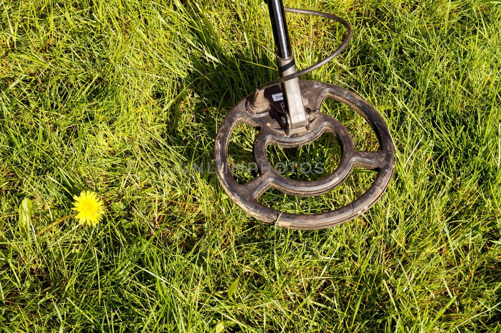Metal Detector