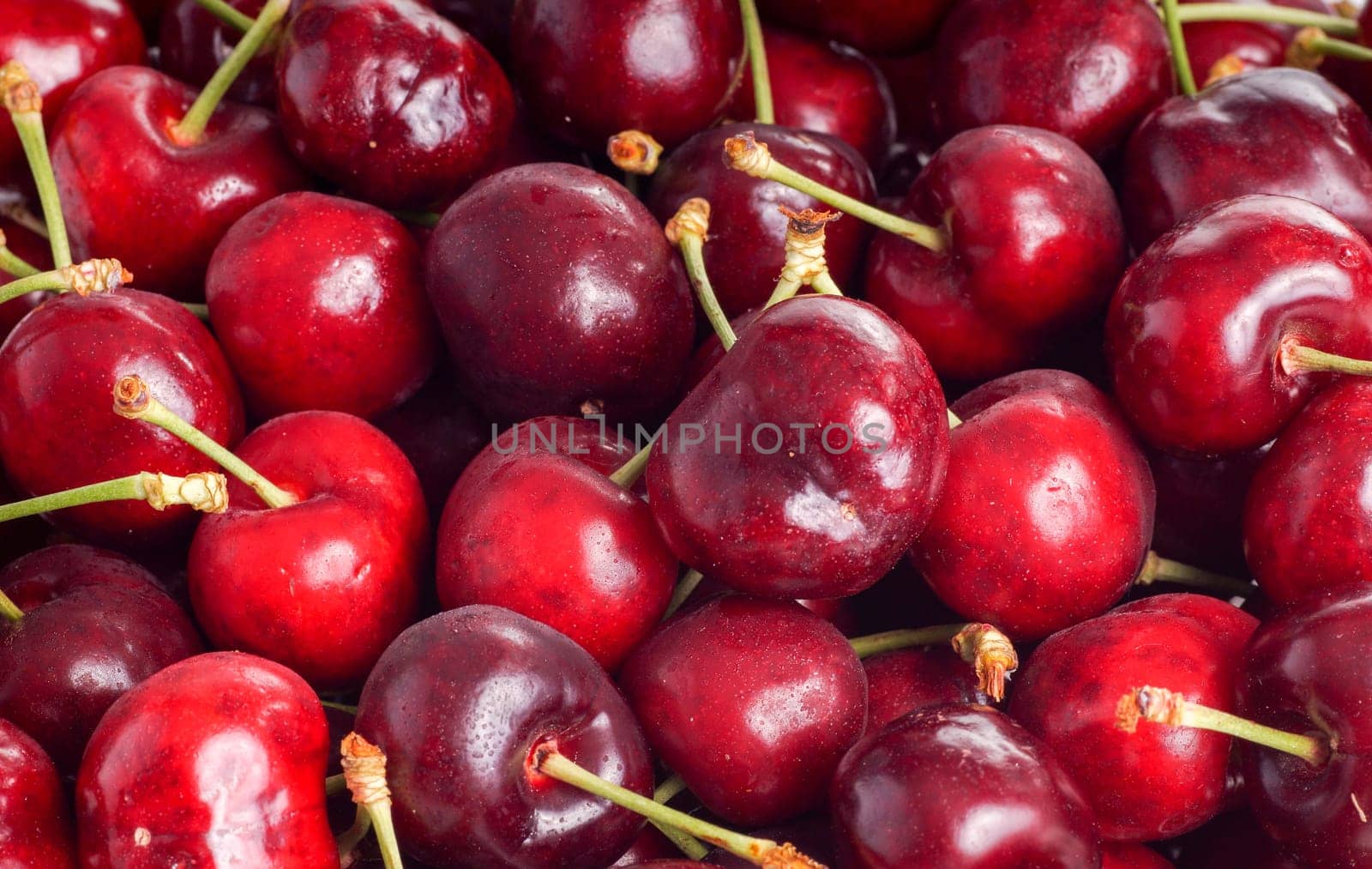Cherry. Red Ripe Organic Fruit. Full frame