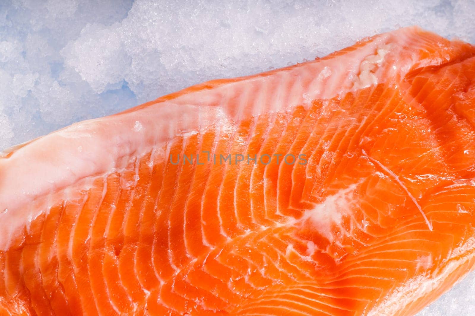 Raw wild Salmon Fillet lying on ice.