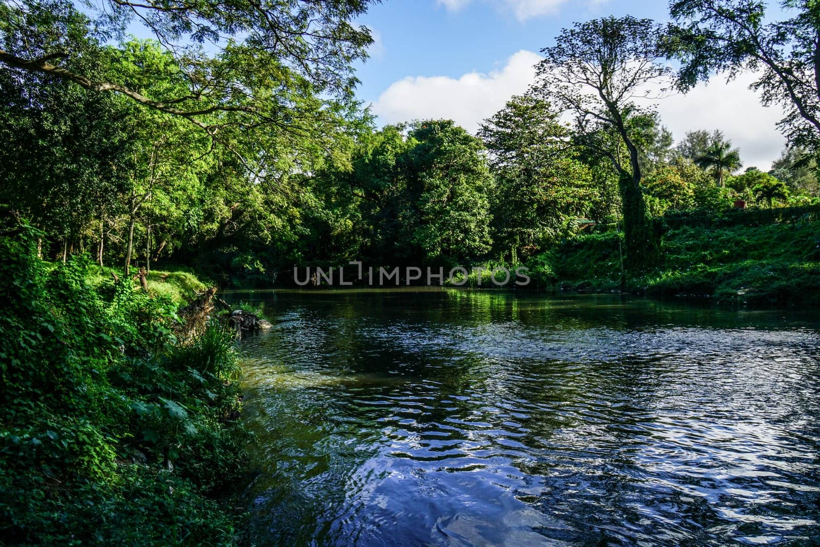 beautiful meandering stream or river in the Caribbean forest, with blue sky