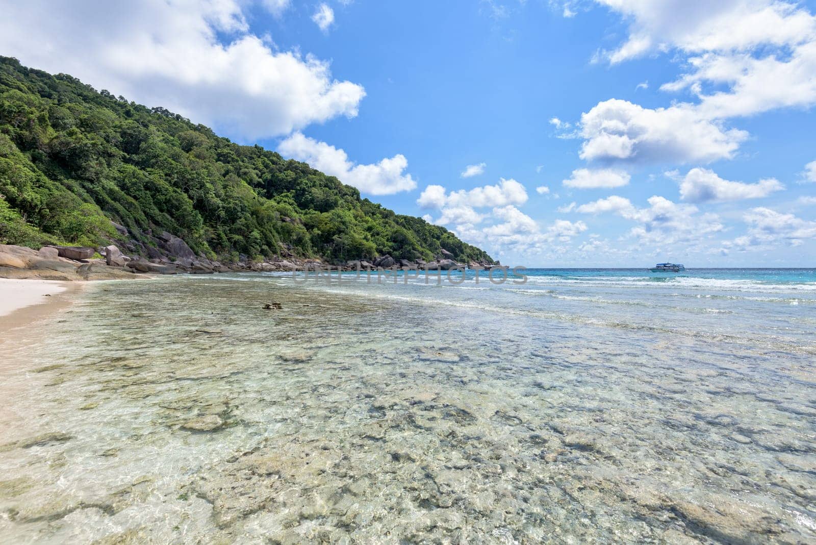 Landscape beautiful shore coral reef sea beach and summer sky above the bay at Koh Similan Island in Mu Ko Similan National Park, Phang Nga province, Thailand