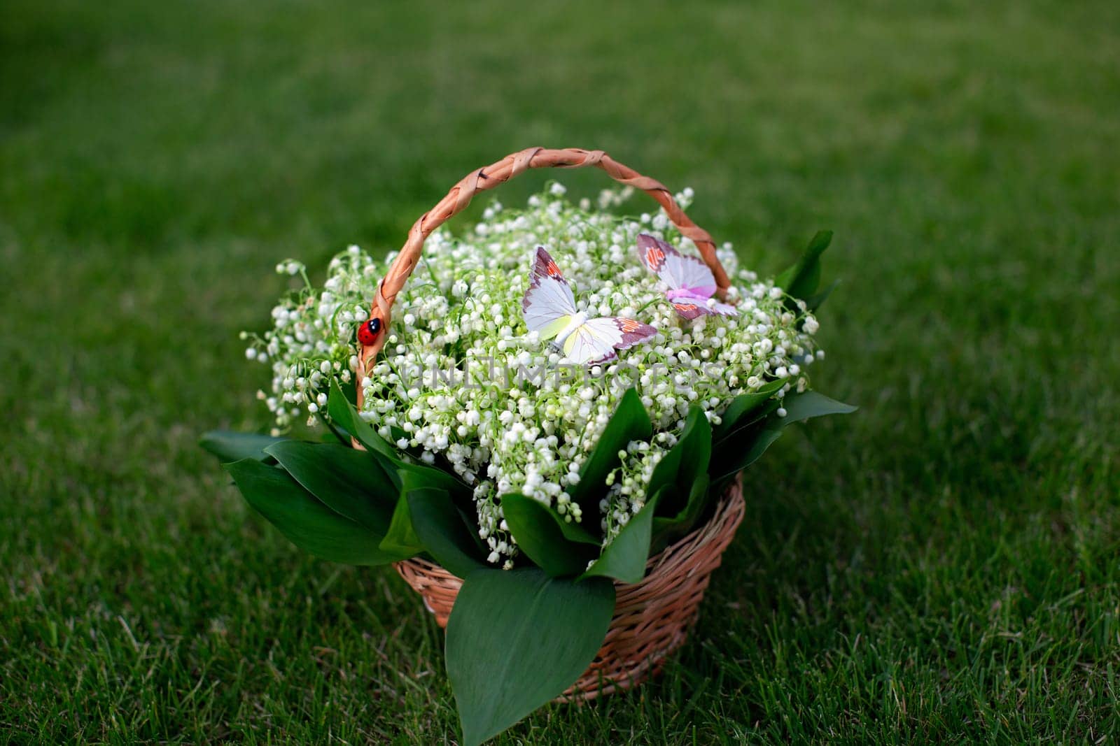basket, lilies of the valley, grass, summer