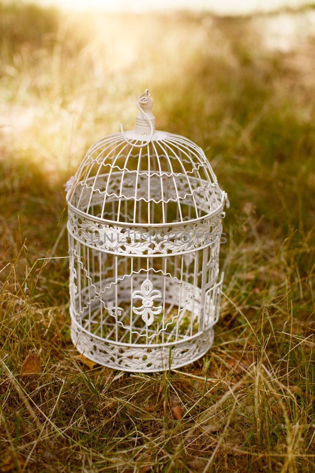Decorative Birdcage