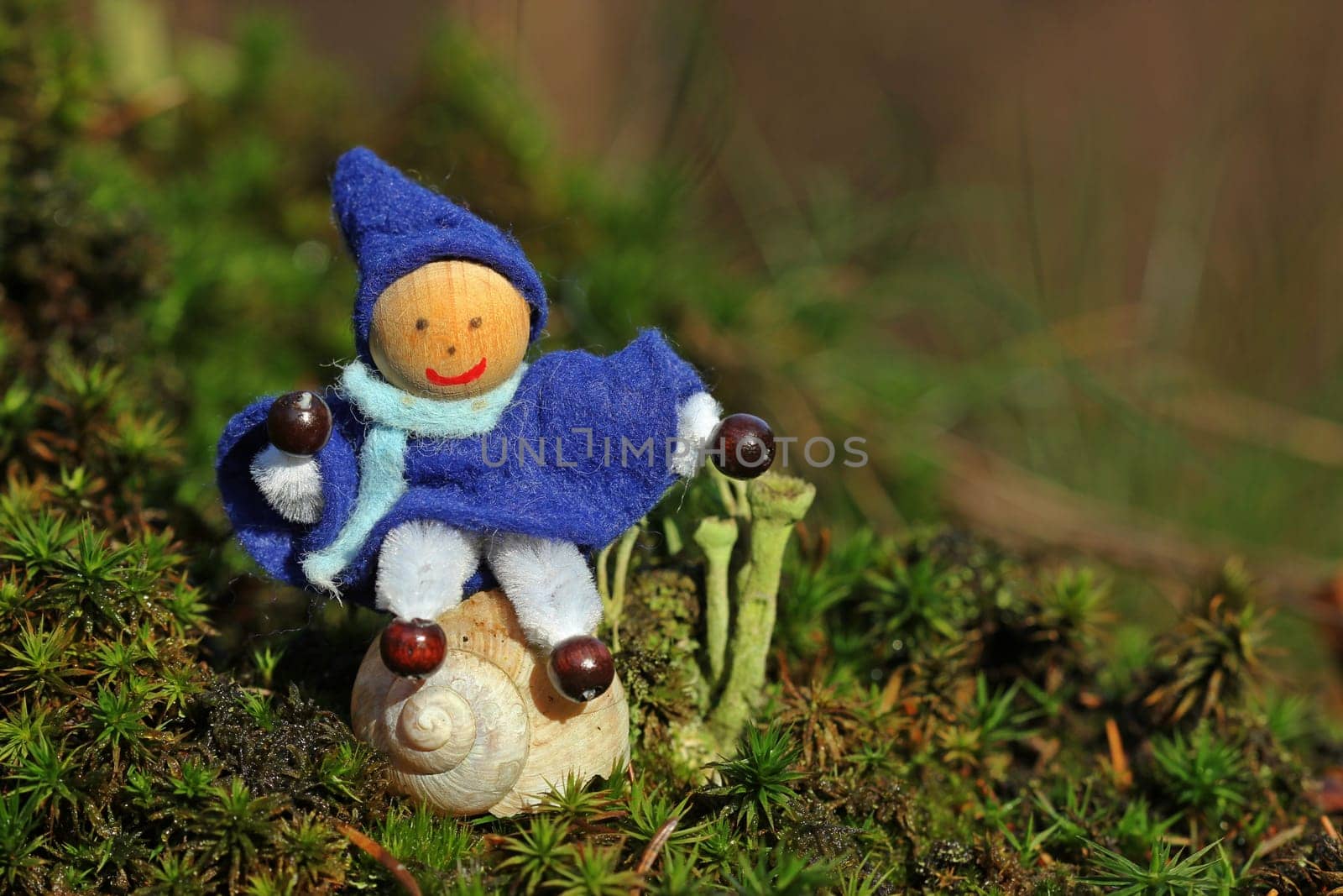 Little Wichtel sits on snail house