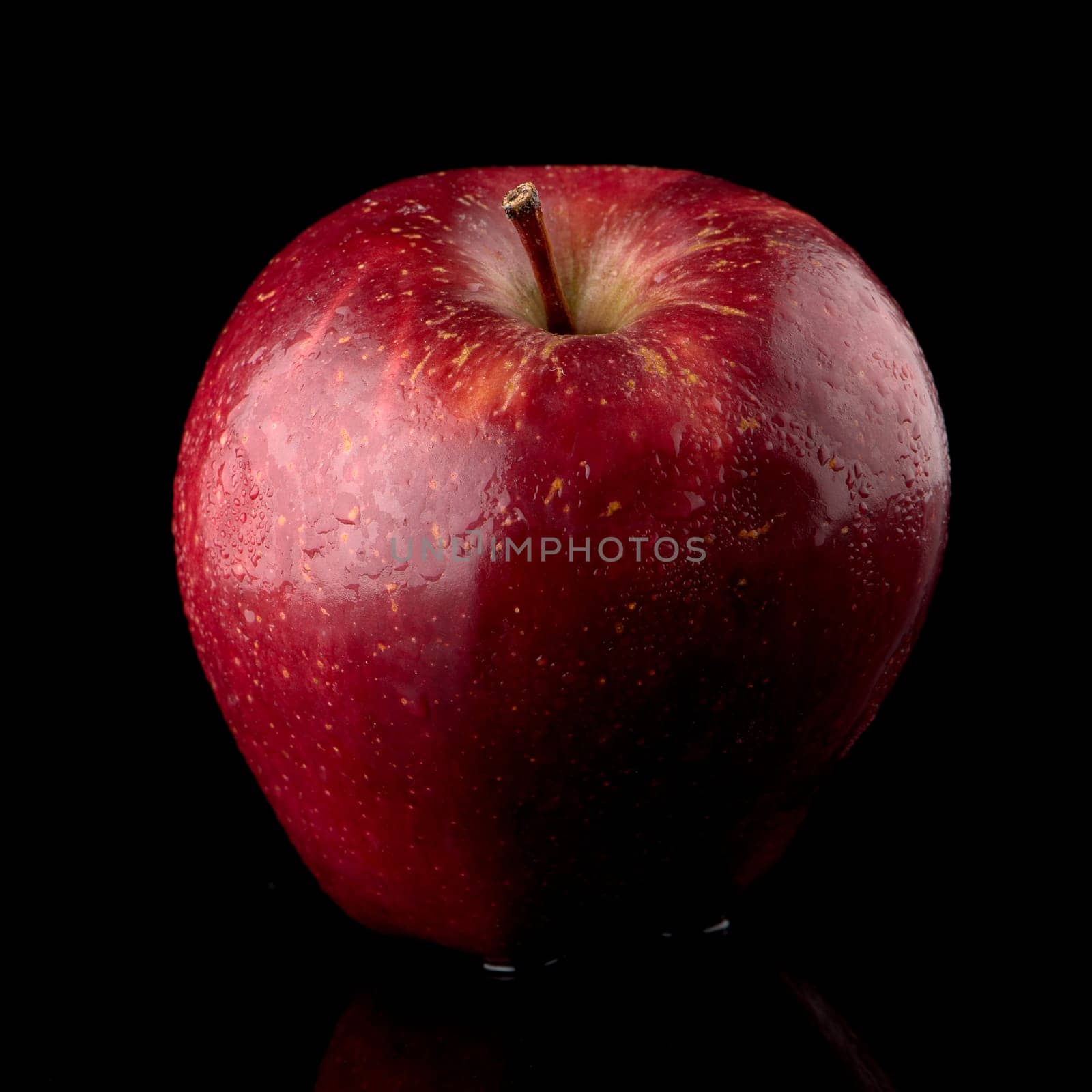 Fresh red apple with droplets of water against black background.