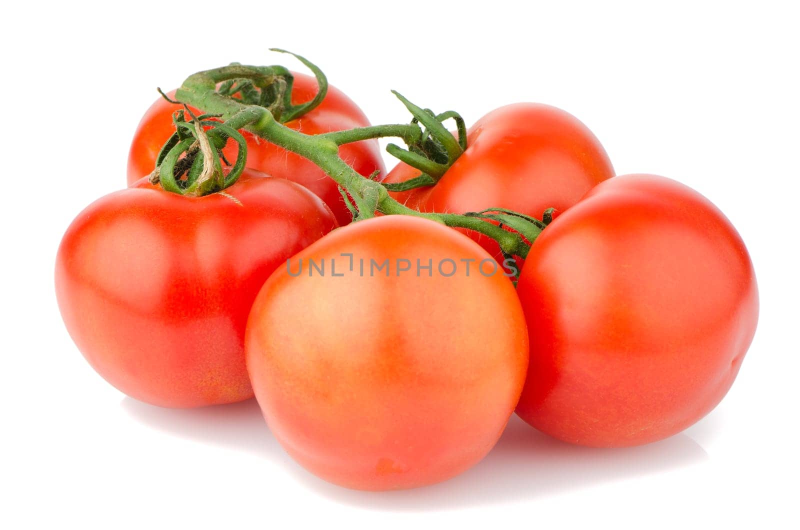 Red ripe tomato vine isolated on white background.