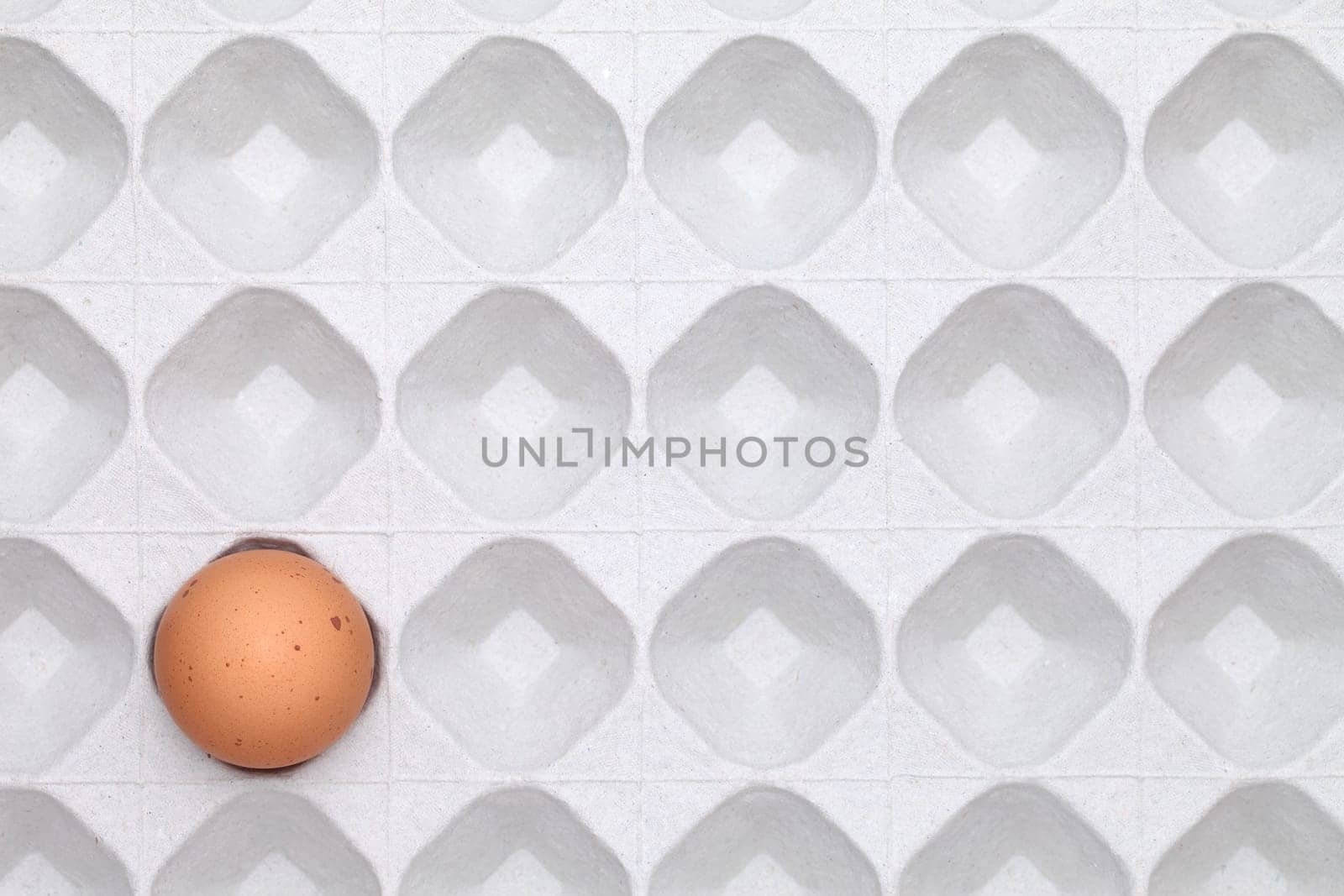 Empty egg package background, paper box top view