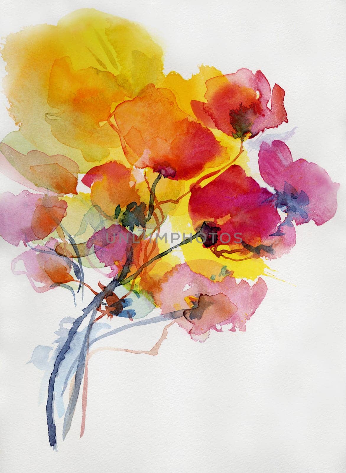 poppy flowers painting watercolor paper