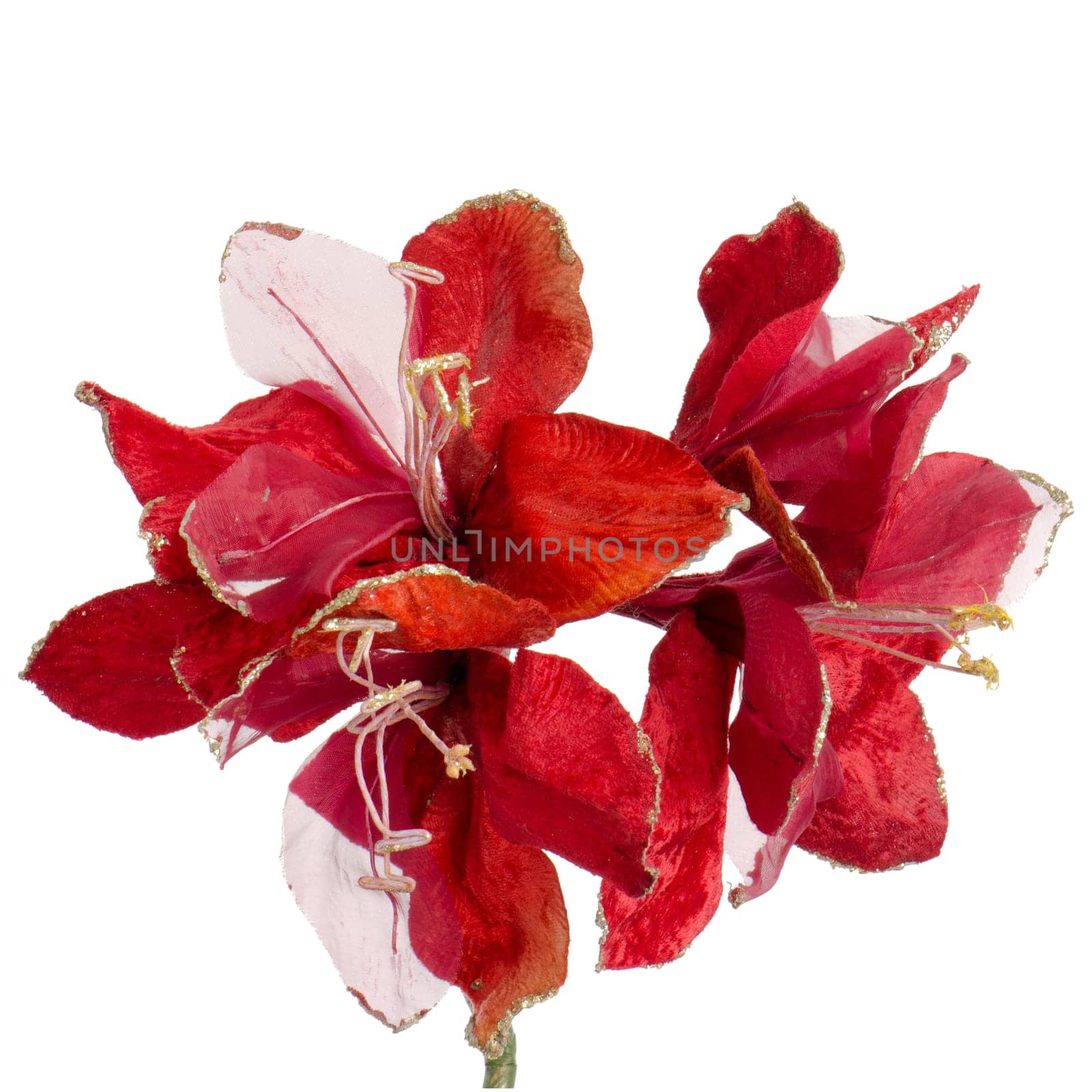 Red Christmas decoration isolated  on white background.