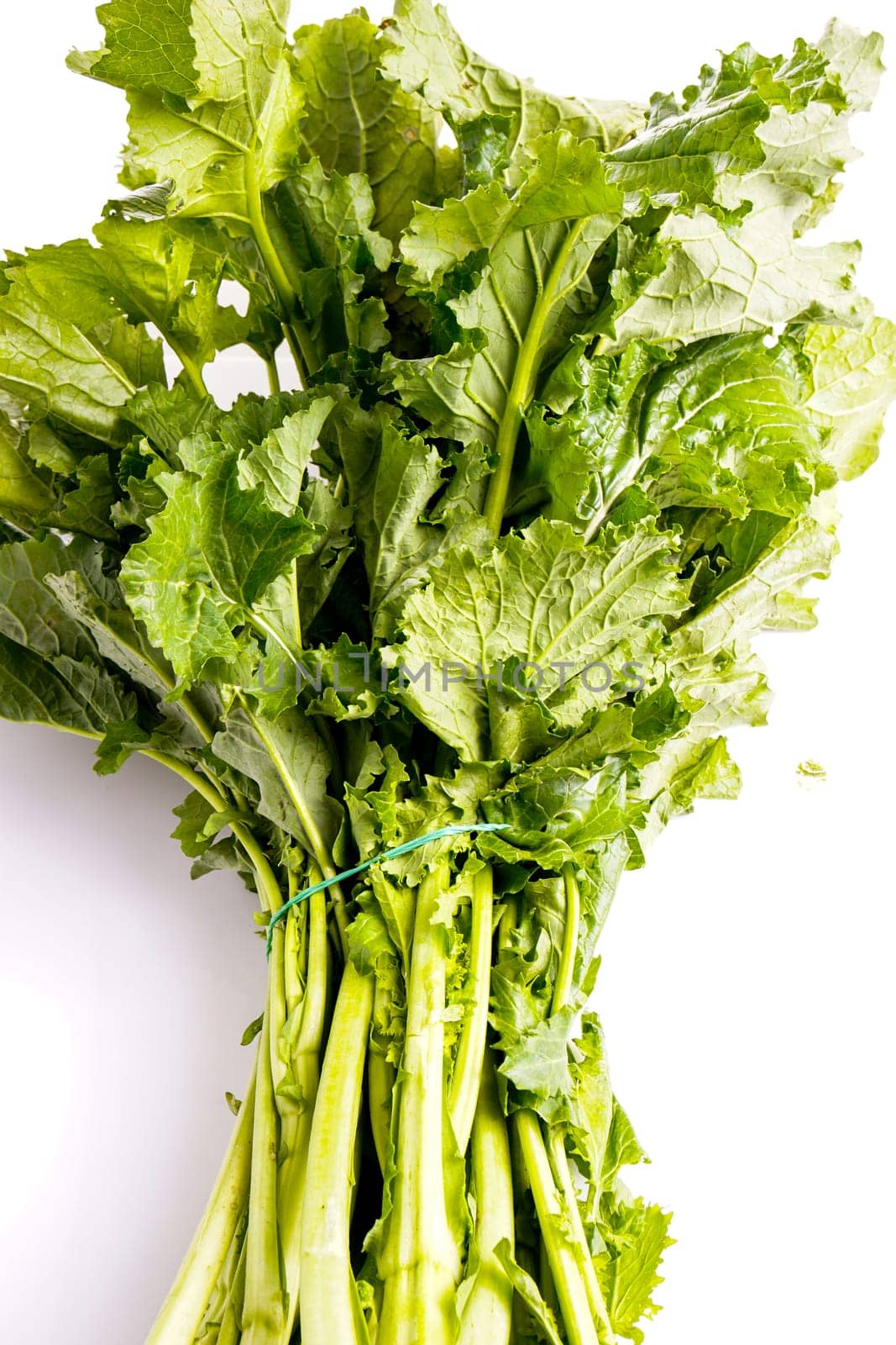Cime De Rapa, turnip greens, fresh healthy italian vegetable, isolated on white