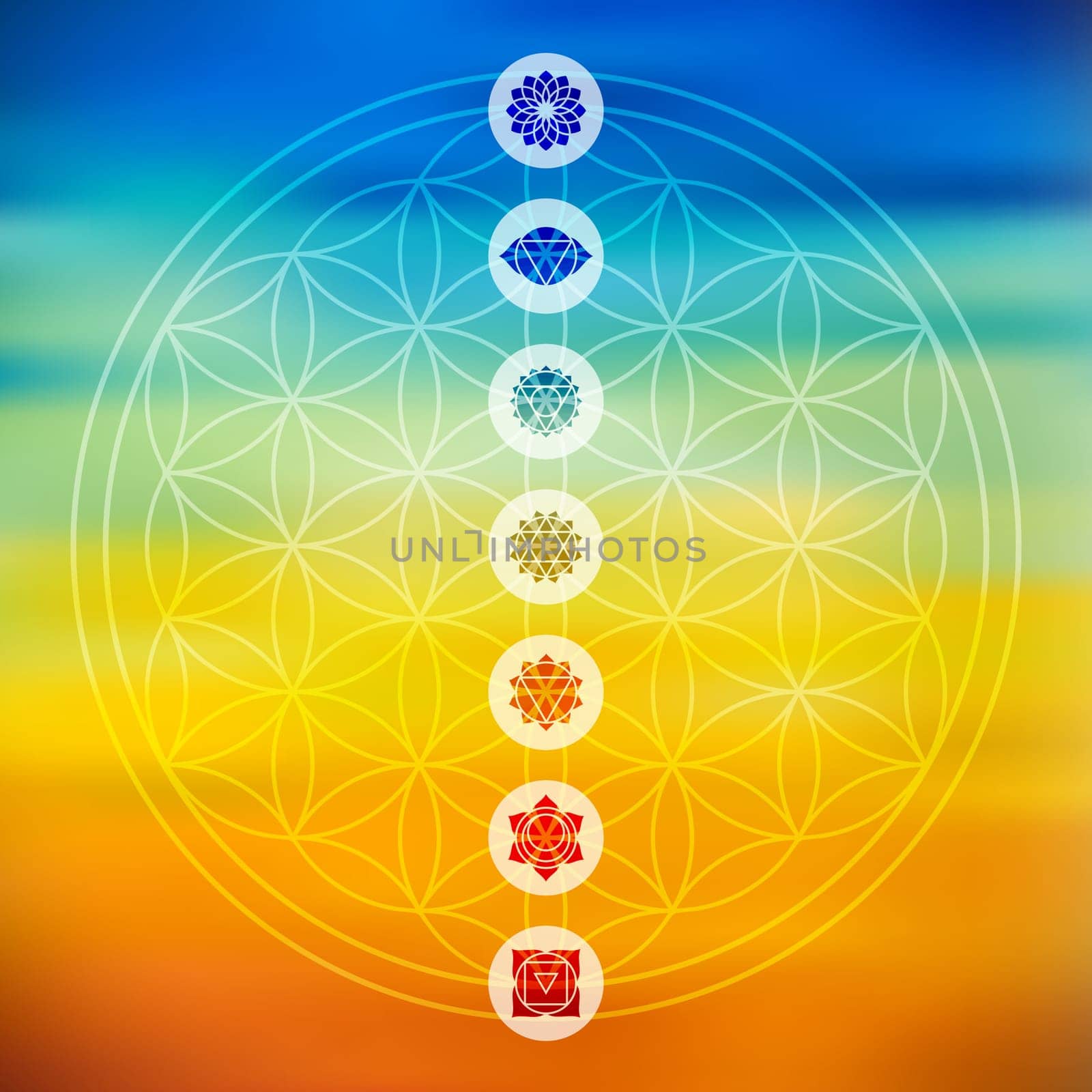 Sacred geometry Flower of Life design with seven main chakra icons over colorful blurred gradient background. EPS10 vector.