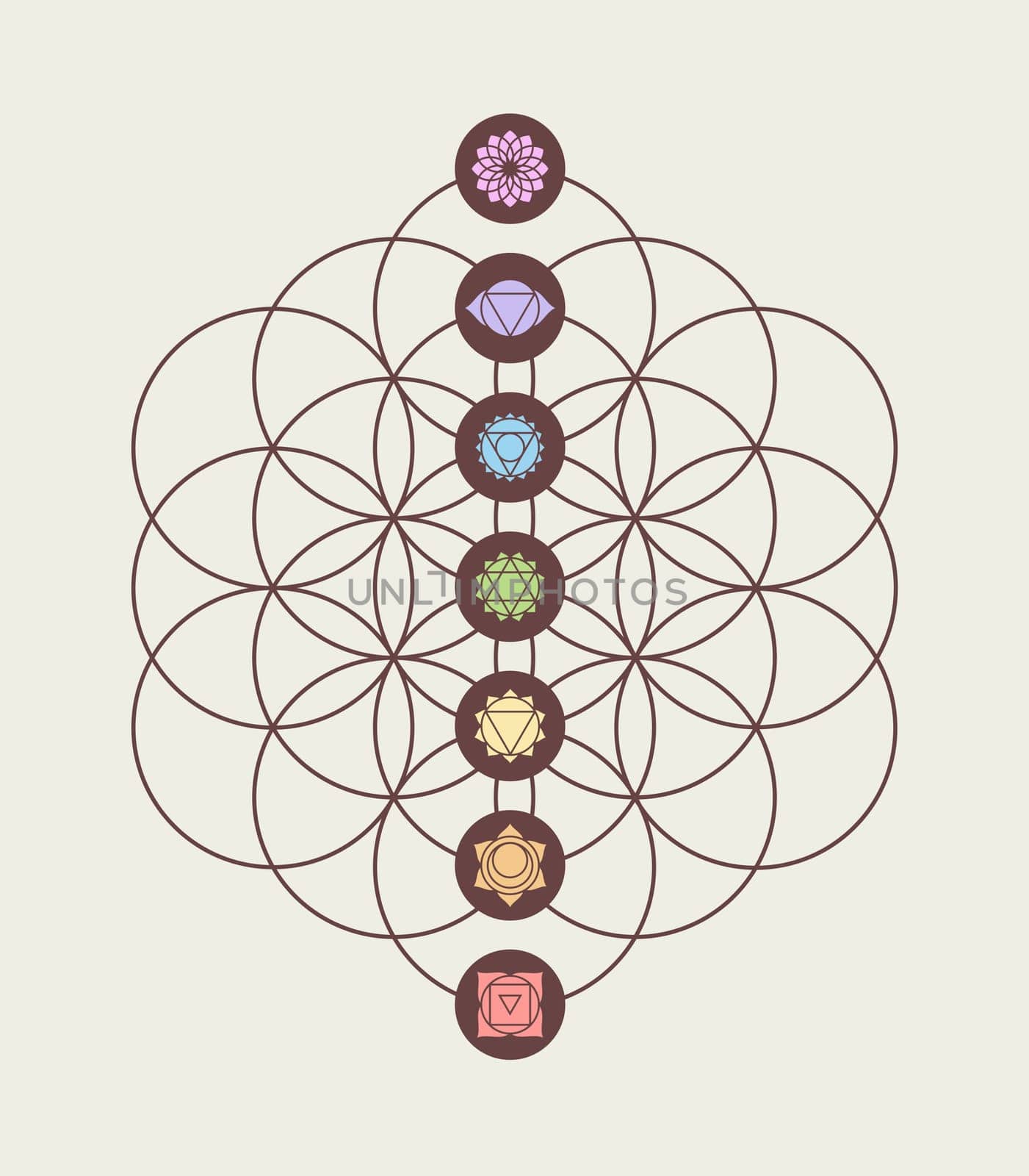 Main chakras on flower of life sacred geometry background, harmony and balance modern design. EPS10 vector.