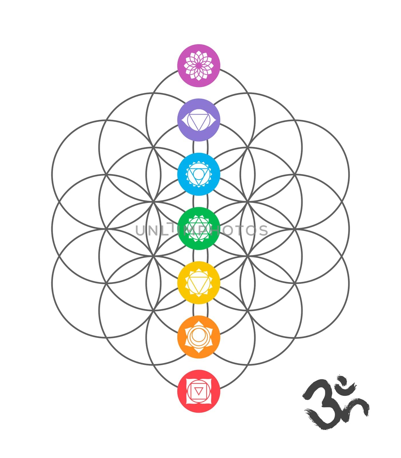 Colorful icons, main chakras on flower of life. Sacred geometry illustration with handmade om calligraphy decoration. EPS10 vector.