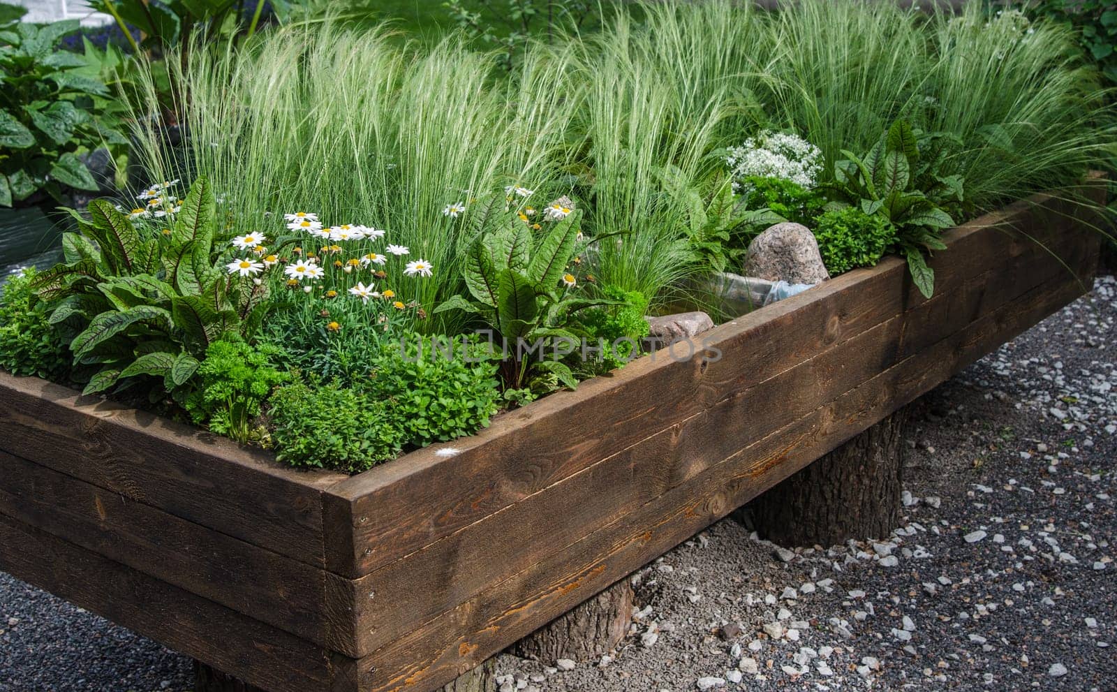 A variety of plants and vegetables grown in a wooden box, close up