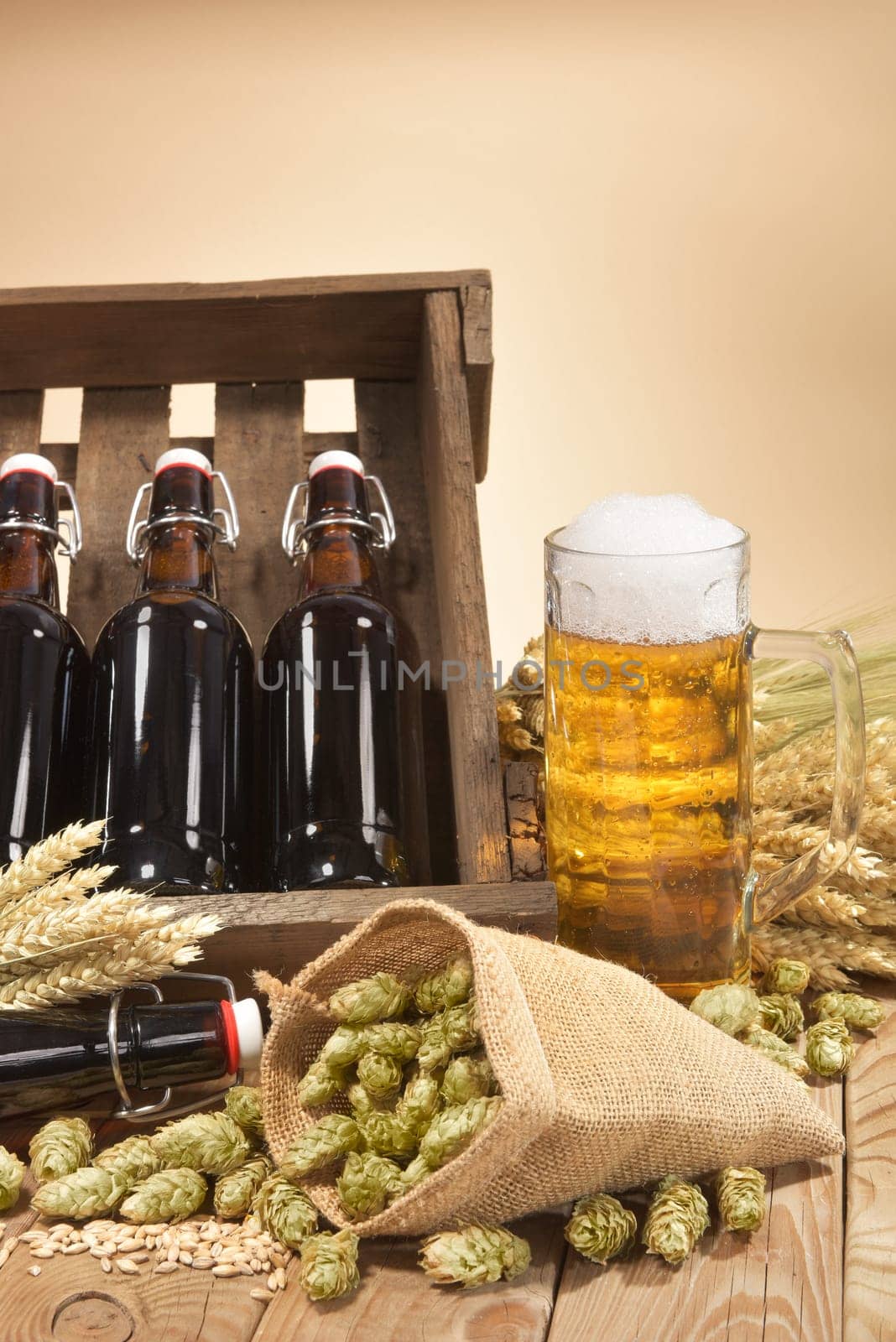Beer box and beer glass with wheat,barley,hops and malt
