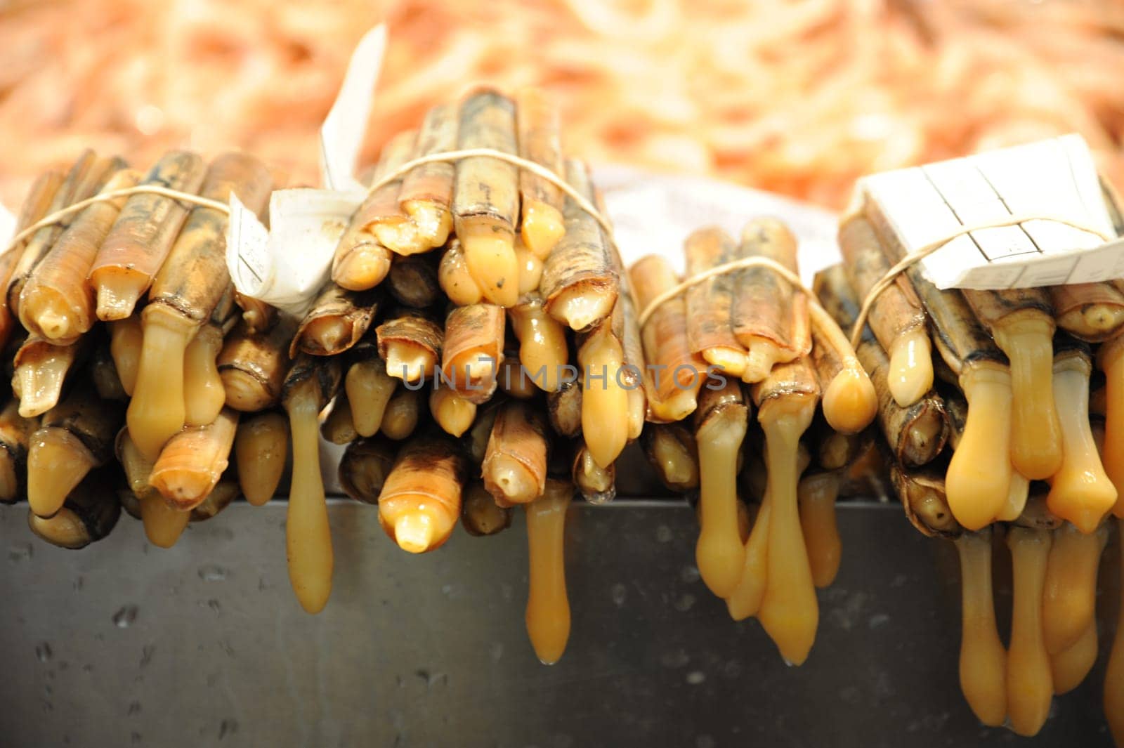 Sword mussels