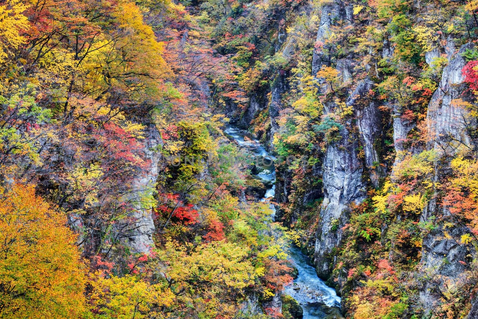 Autumn Colors of Naruko-Gorge in Japan for adv or others purpose use