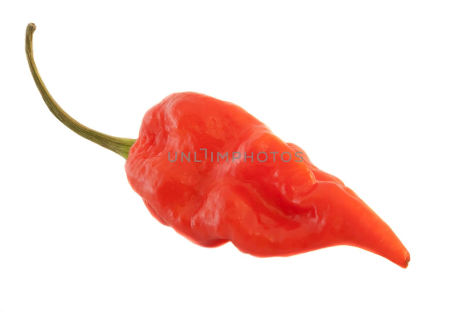 red hot chili pepper in a white background