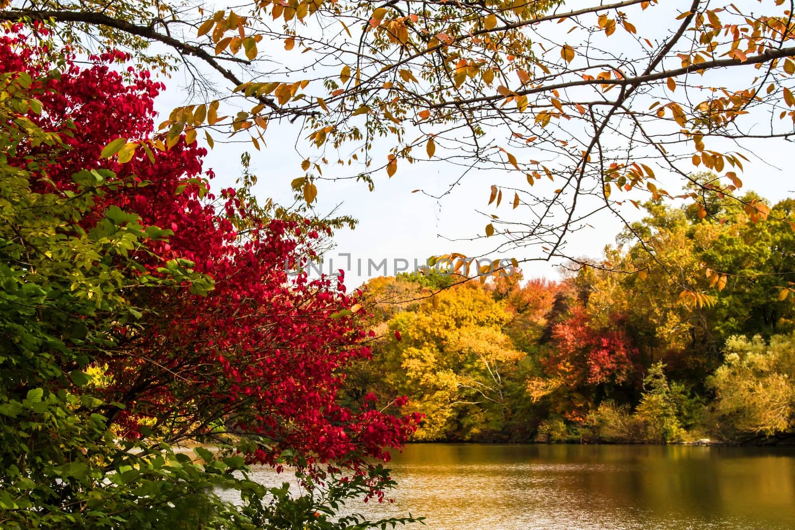 Autumn in the Central Park, New York, United States, view of the lake.