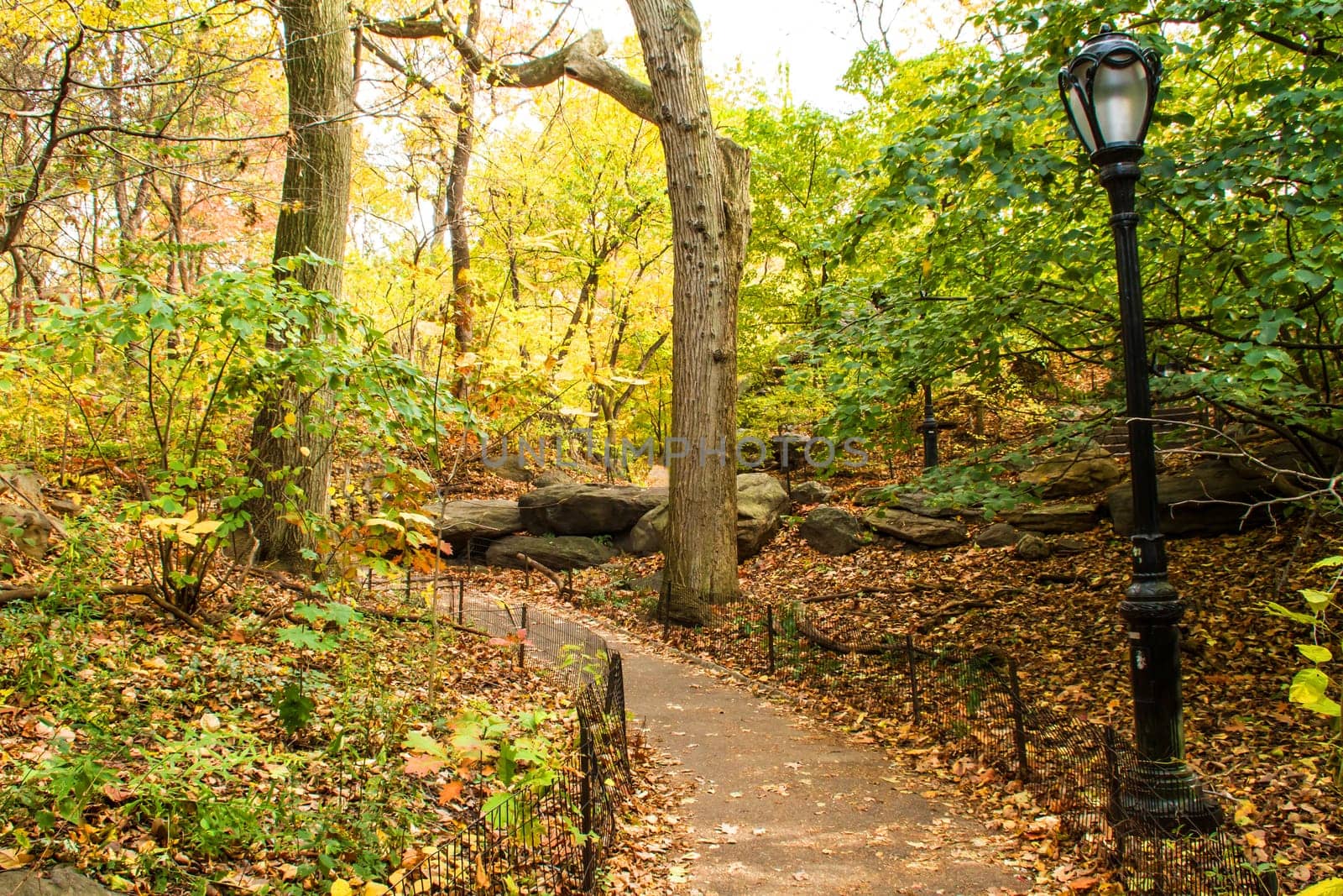 A footpath in the Central Park , New York, United States.
